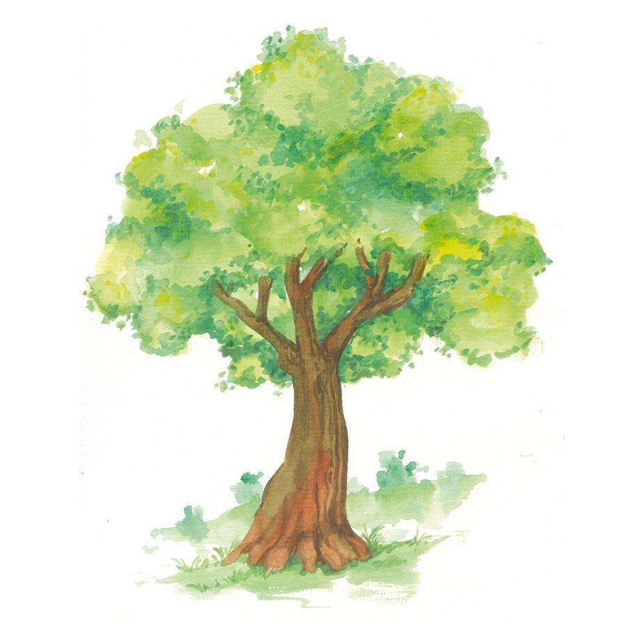 Beispielinhalt (Bild) Die Kunst des Malens für Kinder Malschule