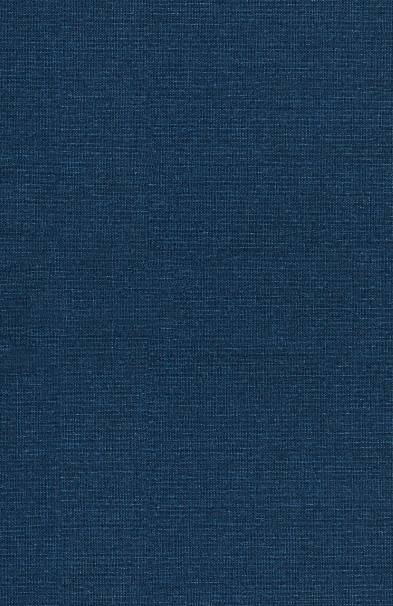 Vorderes Coverbild The Mentor's Guide