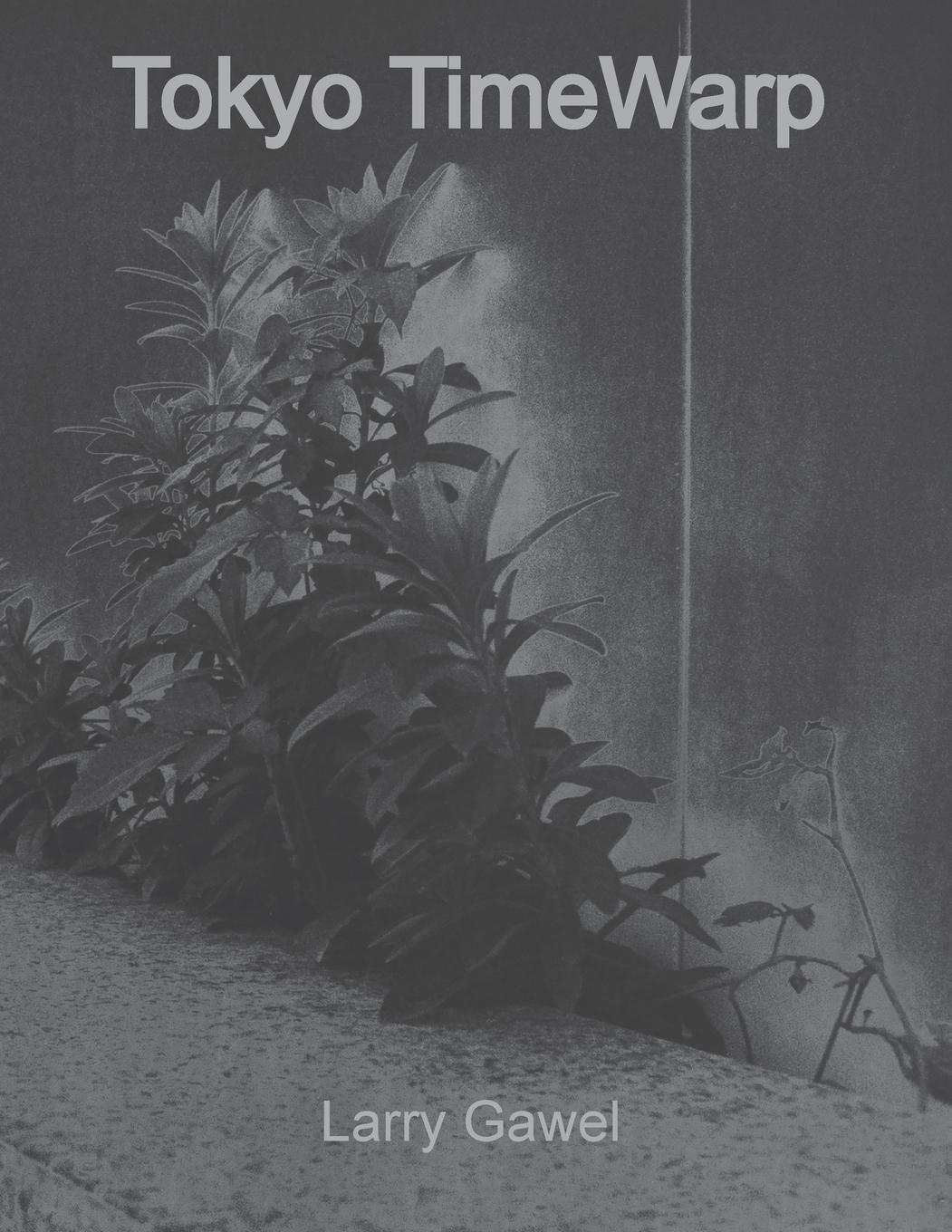 Vorderes Coverbild Tokyo TimeWarp