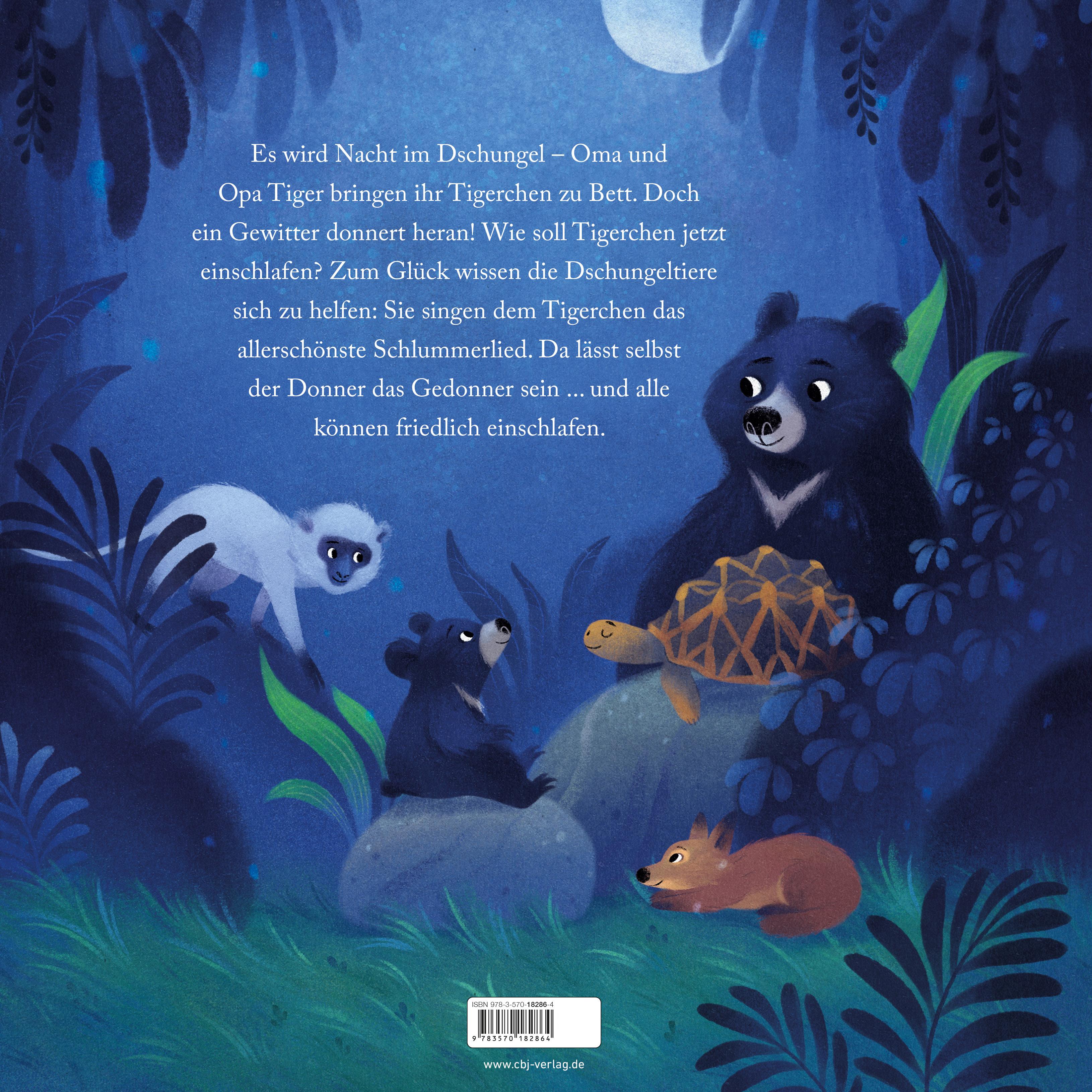 Beispielinhalt (Bild) Schlaf gut, kleiner Tiger