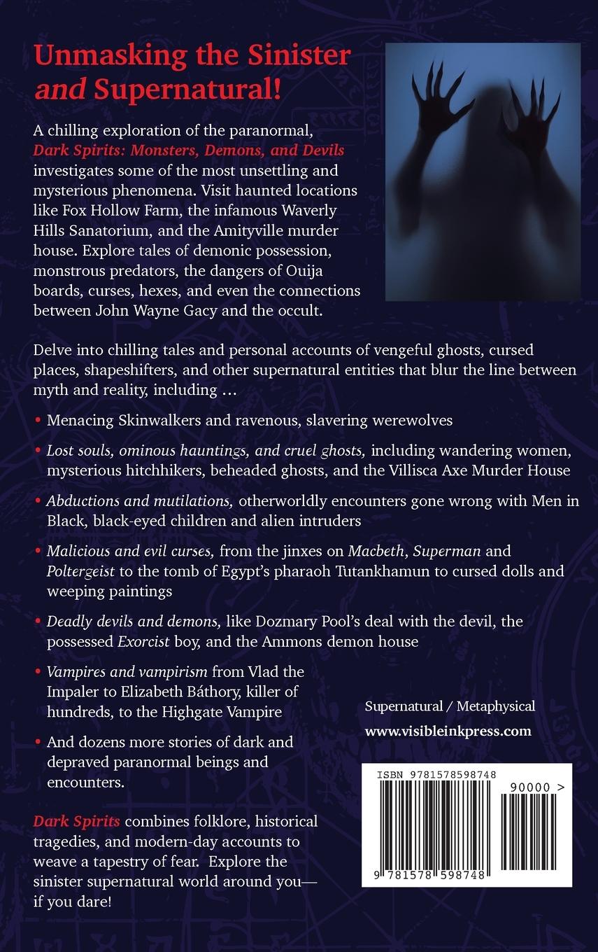 Rückseitencover Dark Spirits