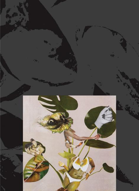 Vorderes Coverbild Kandis Williams: A Surface