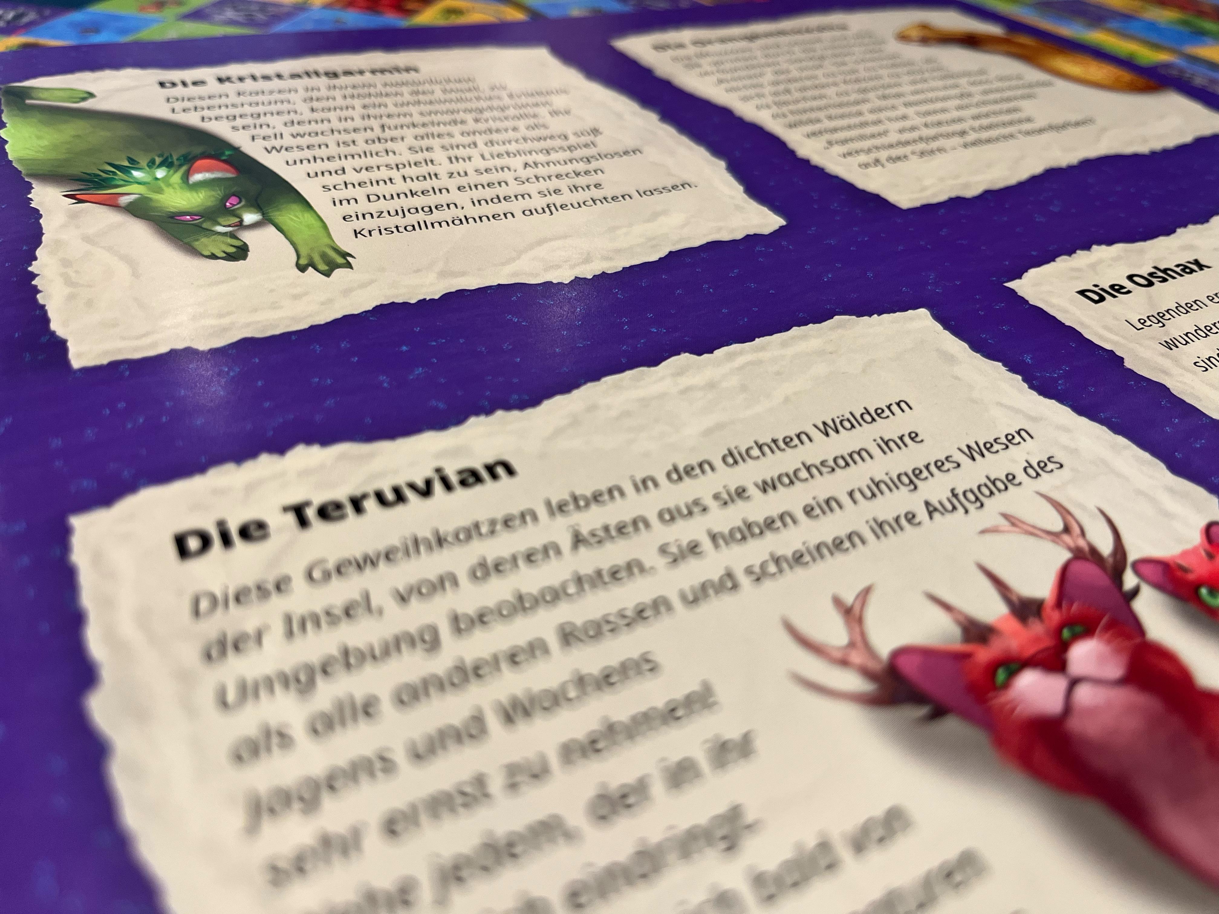 Beispielinhalt (Bild) Los zum Floß