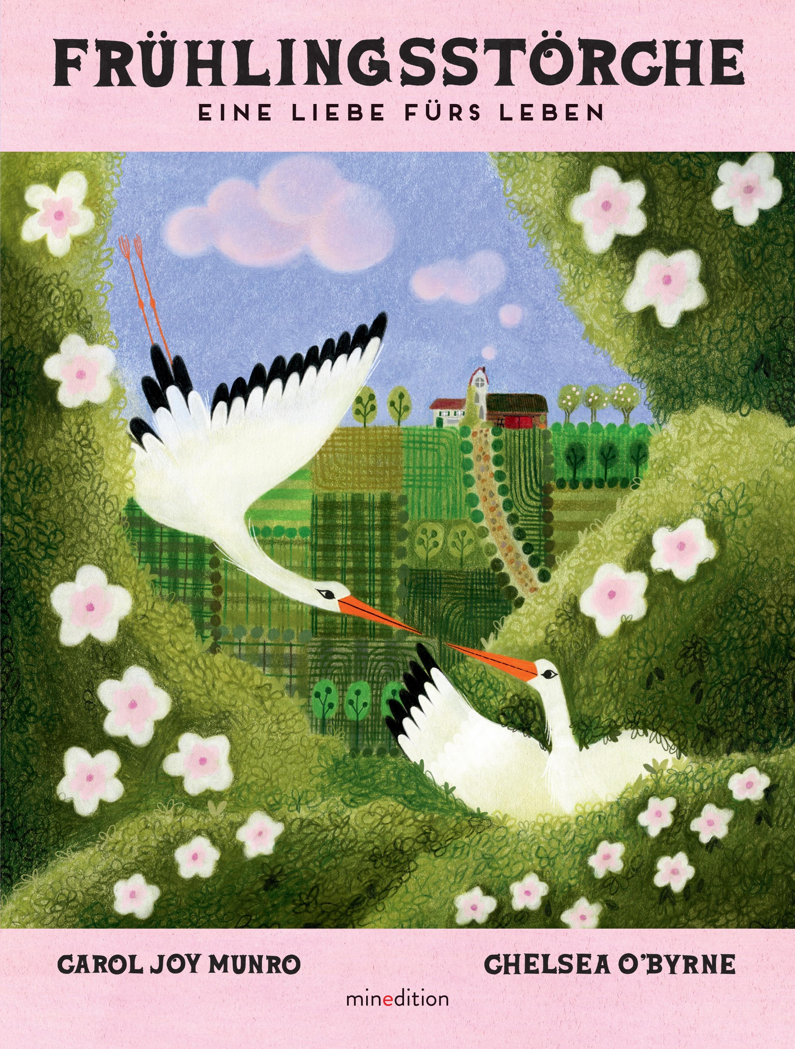 Vorderes Coverbild Frühlingsstörche