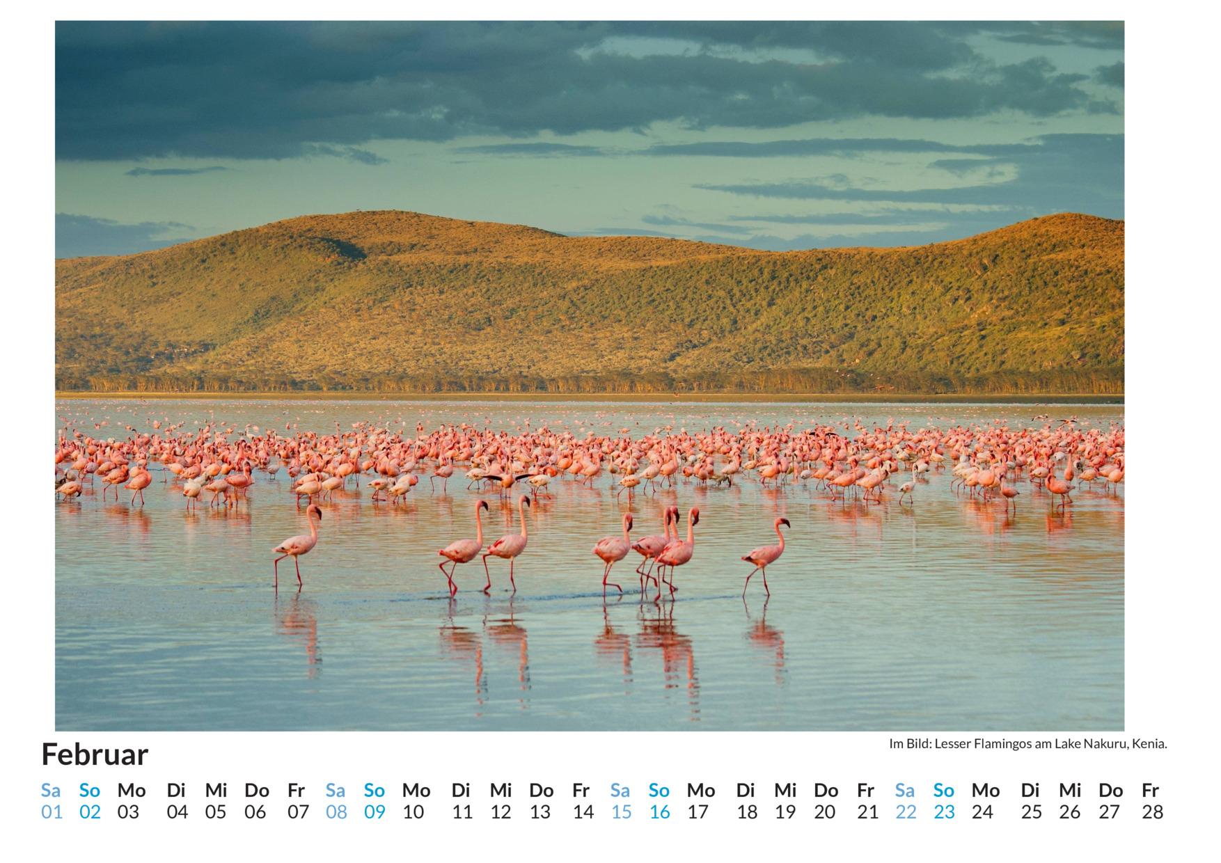 Beispielinhalt (Bild) Kenia - (Wandkalender 2025, Kalender DIN A4 quer, Monatskalender im Querformat mit Kalendarium, das perfekte Geschenk)