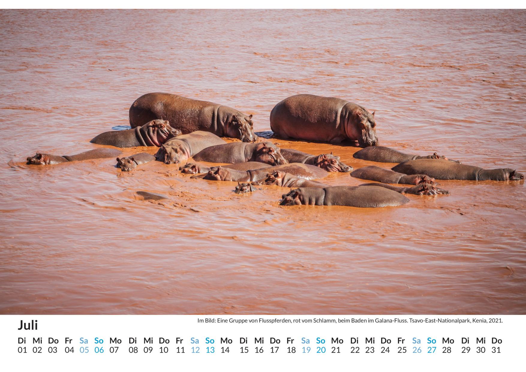 Beispielinhalt (Bild) Kenia - (Wandkalender 2025, Kalender DIN A4 quer, Monatskalender im Querformat mit Kalendarium, das perfekte Geschenk)
