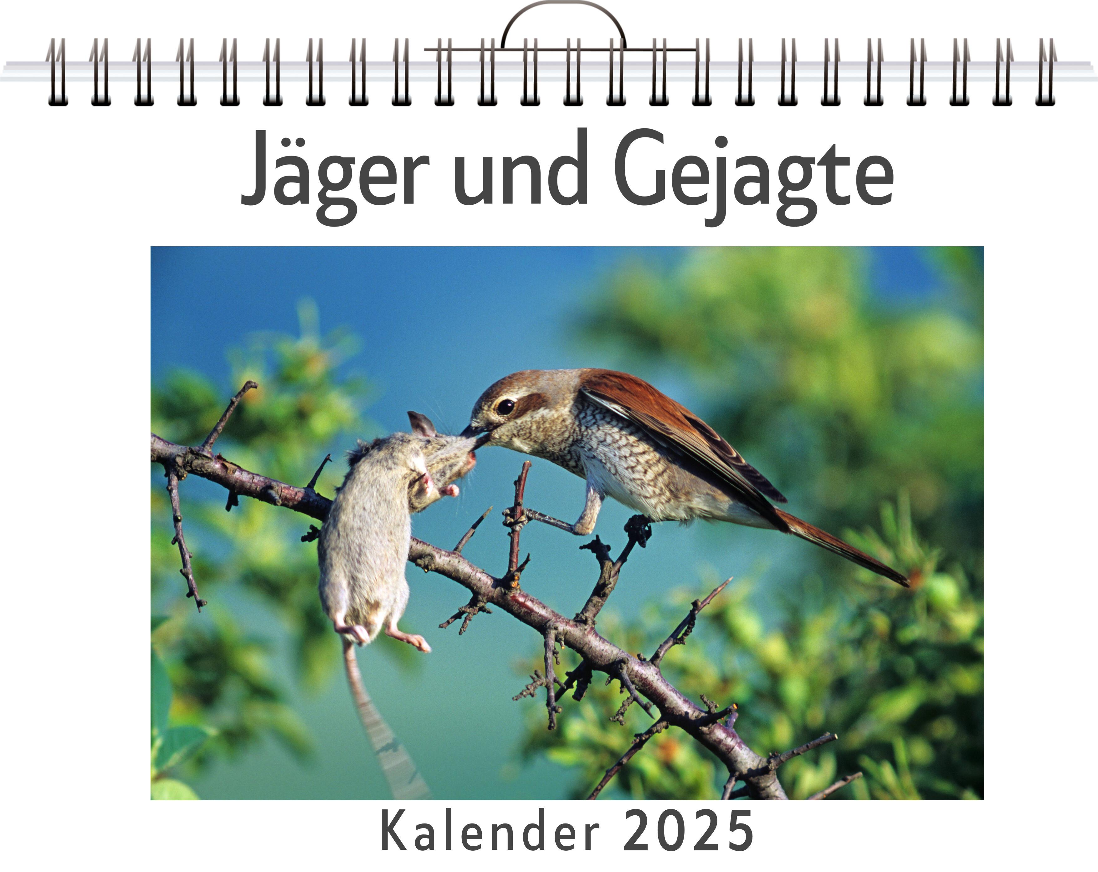 Vorderes Coverbild Jäger und Gejagte - (Wandkalender 2025, Kalender DIN A4 quer, Monatskalender im Querformat mit Kalendarium, das perfekte Geschenk)