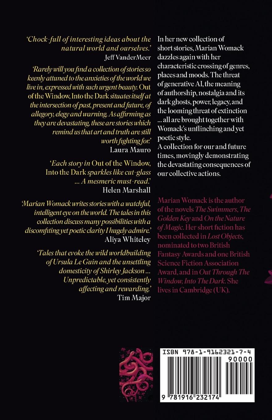 Rückseitencover Out of the Window, Into the Dark