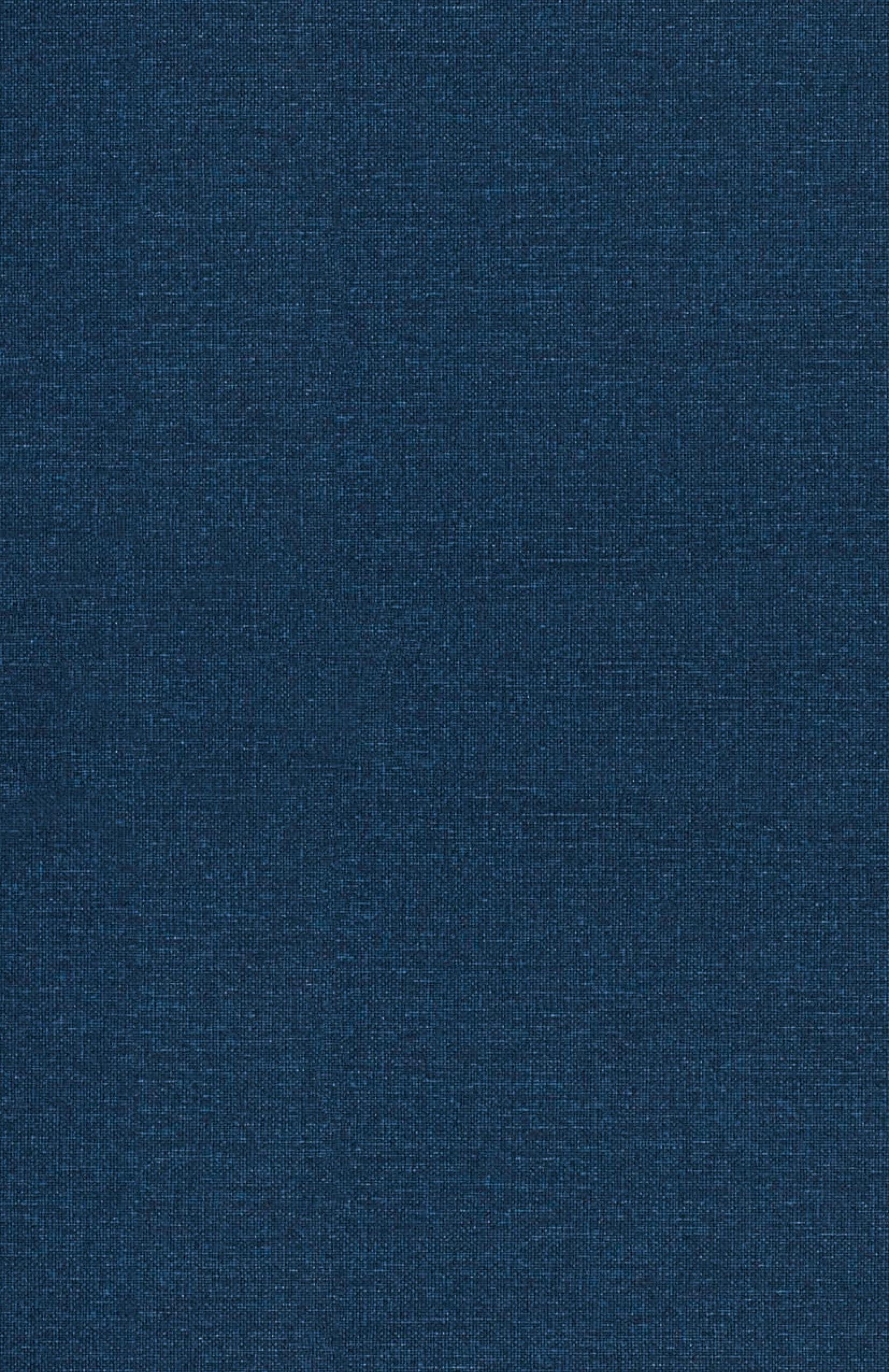 Vorderes Coverbild Career Success Secrets