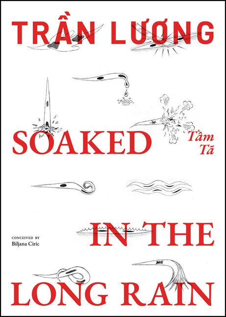 Vorderes Coverbild Tran Luong: Soaked in the Long Rain