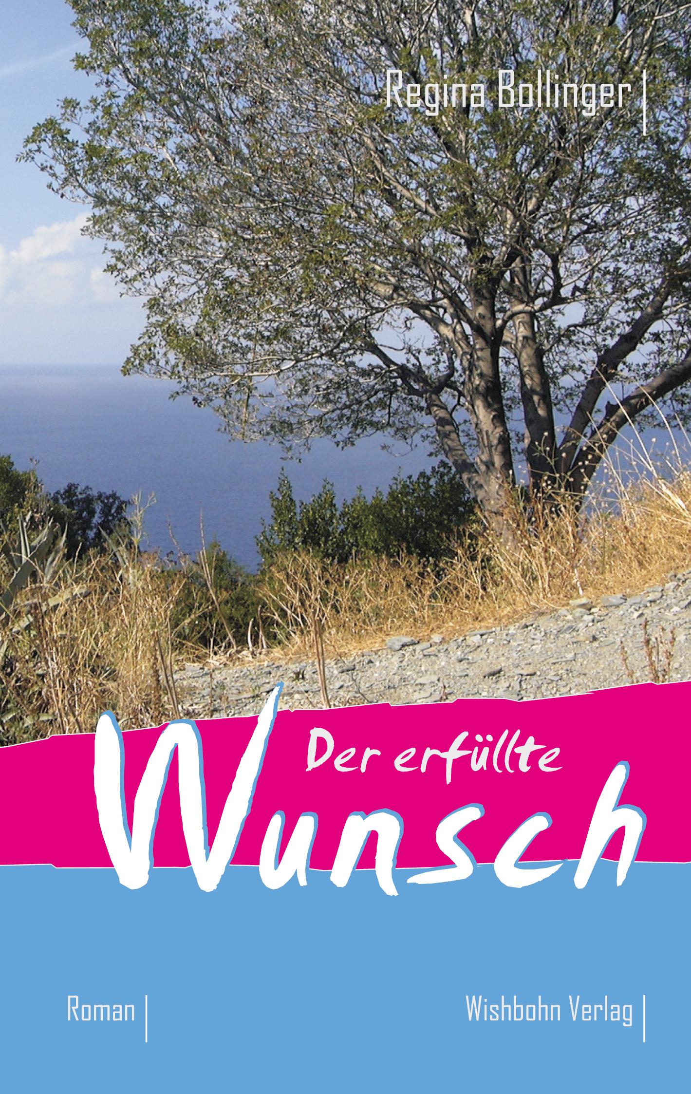 Vorderes Coverbild Der erfüllte Wunsch