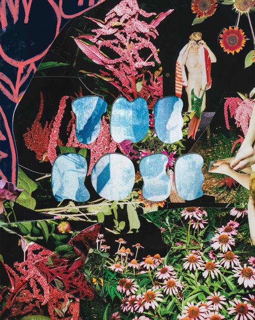 Vorderes Coverbild The Rose: A Circular Genealogy of Collage