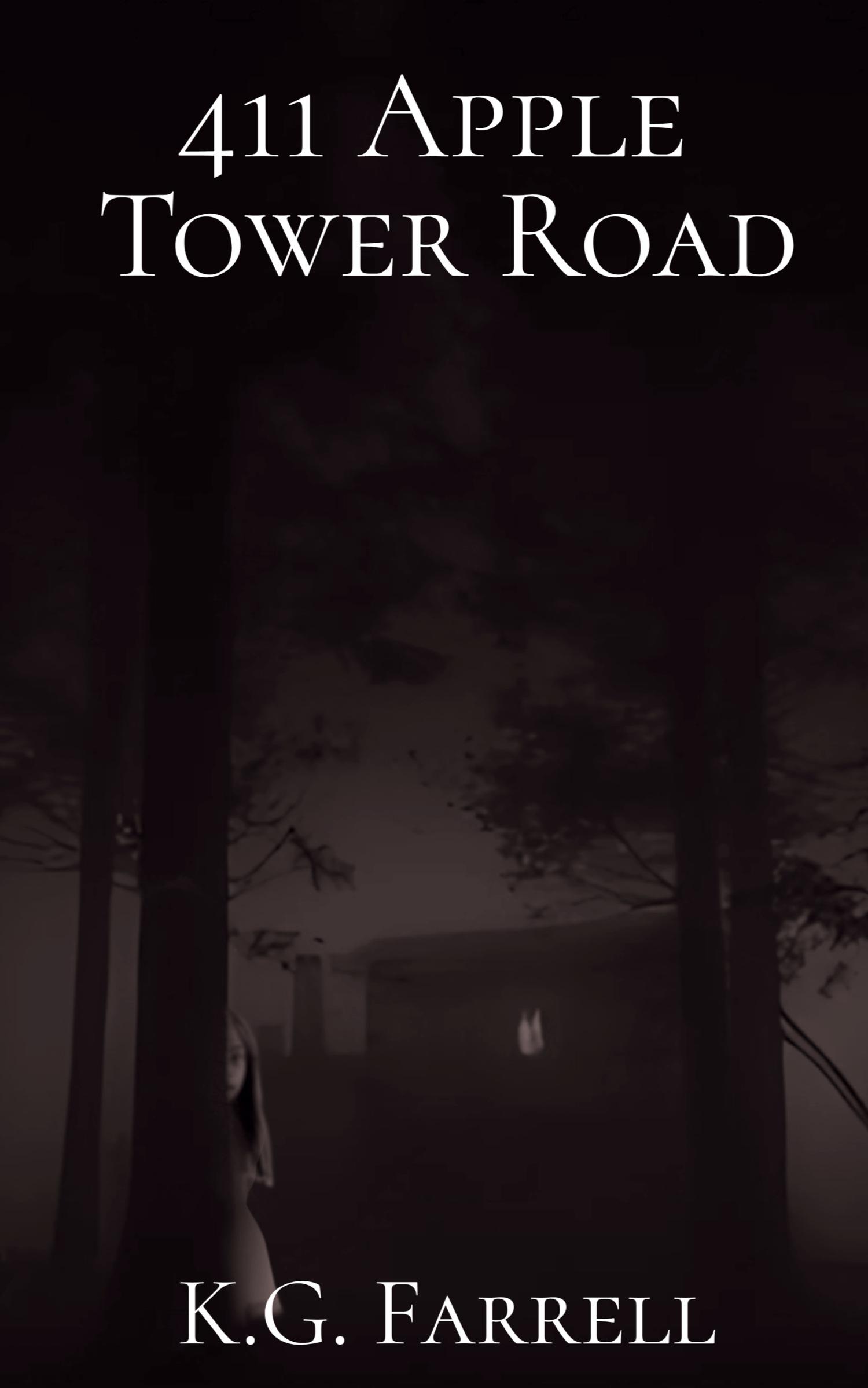 Vorderes Coverbild 411 Apple Tower Rd