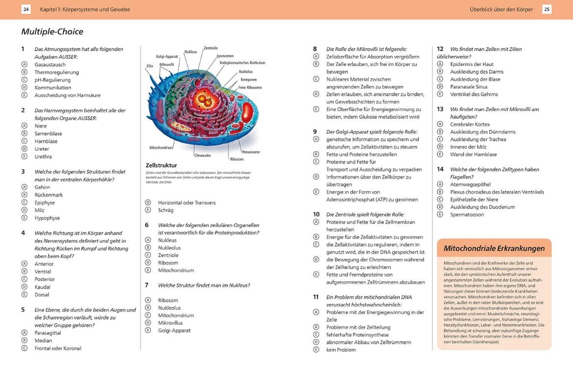 Beispielinhalt (Bild) Arbeitsbuch Anatomie Komplett