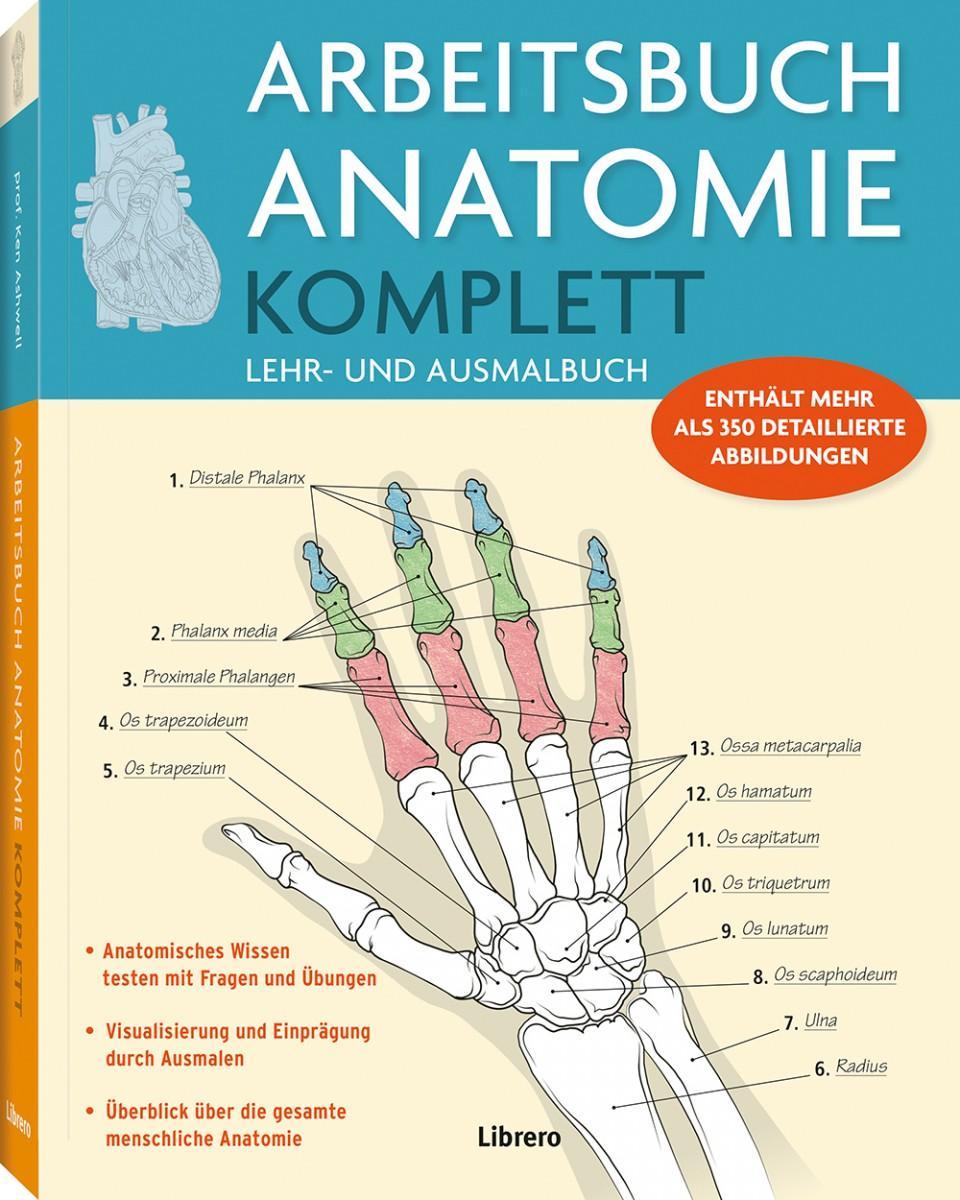 Vorderes Coverbild Arbeitsbuch Anatomie Komplett
