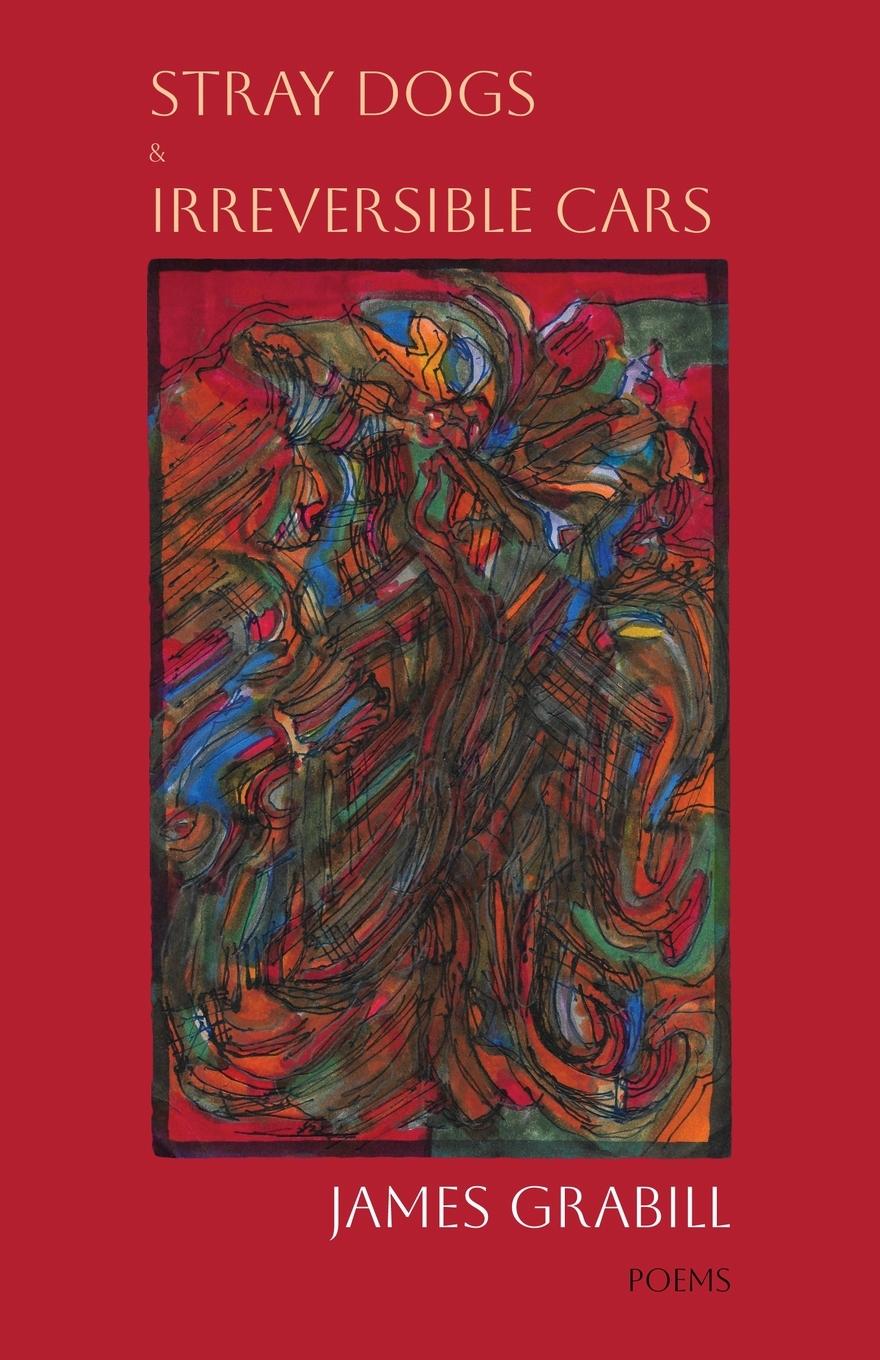 Vorderes Coverbild Stray Dogs & Irreversible Cars
