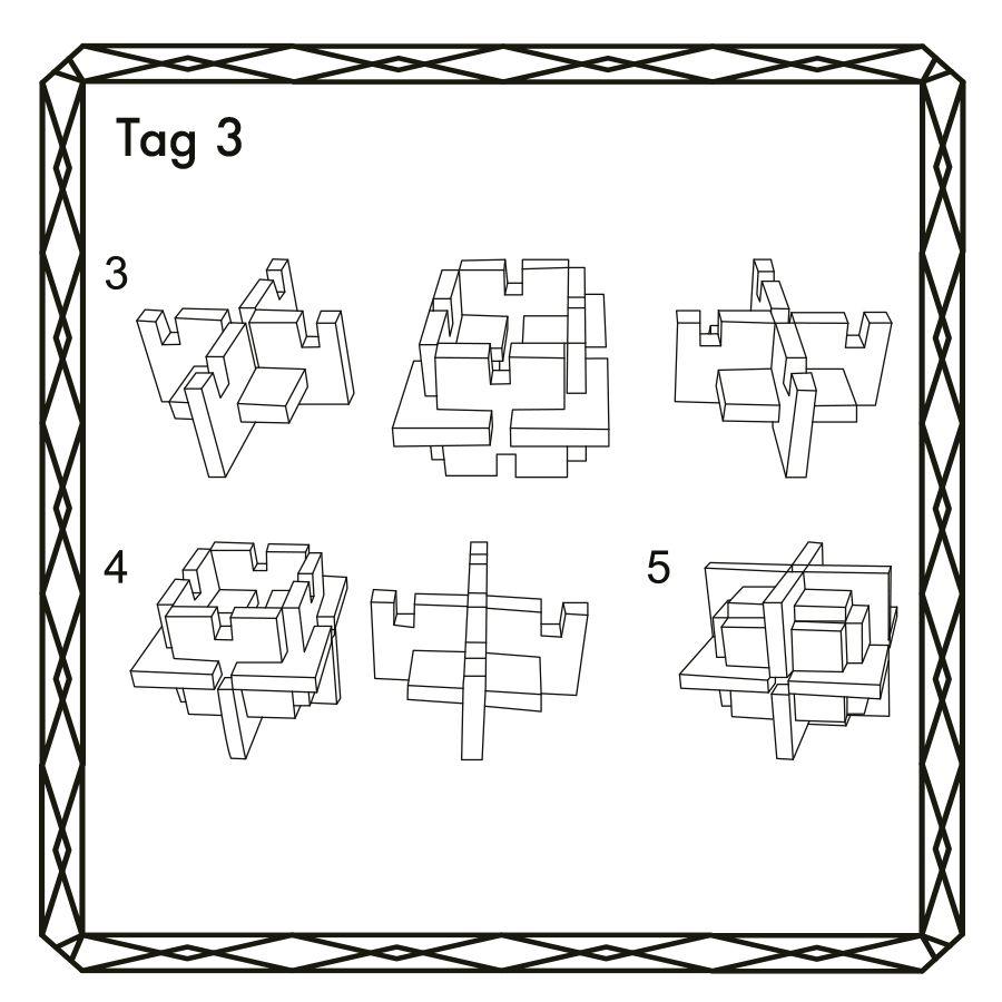 Beispielinhalt (Bild) Knobelspiel-Adventskalender - Neue IQ-Puzzles und Geduldsspiele für 24 Tage