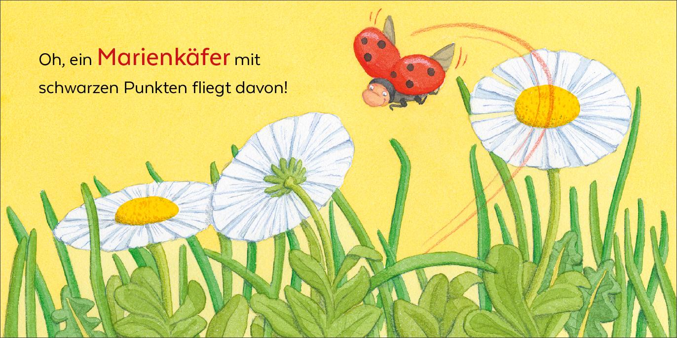 Beispielinhalt (Bild) Wer hat sich denn hier versteckt?