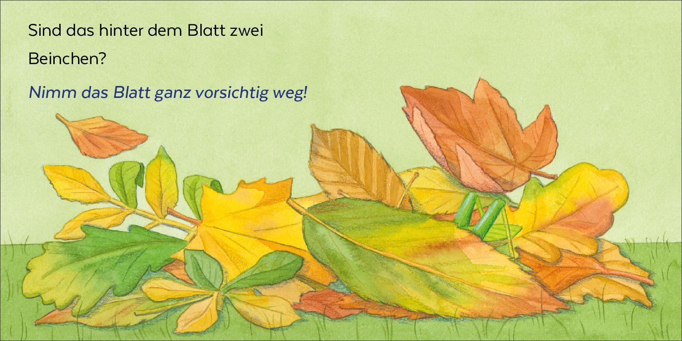 Beispielinhalt (Bild) Wer hat sich denn hier versteckt?