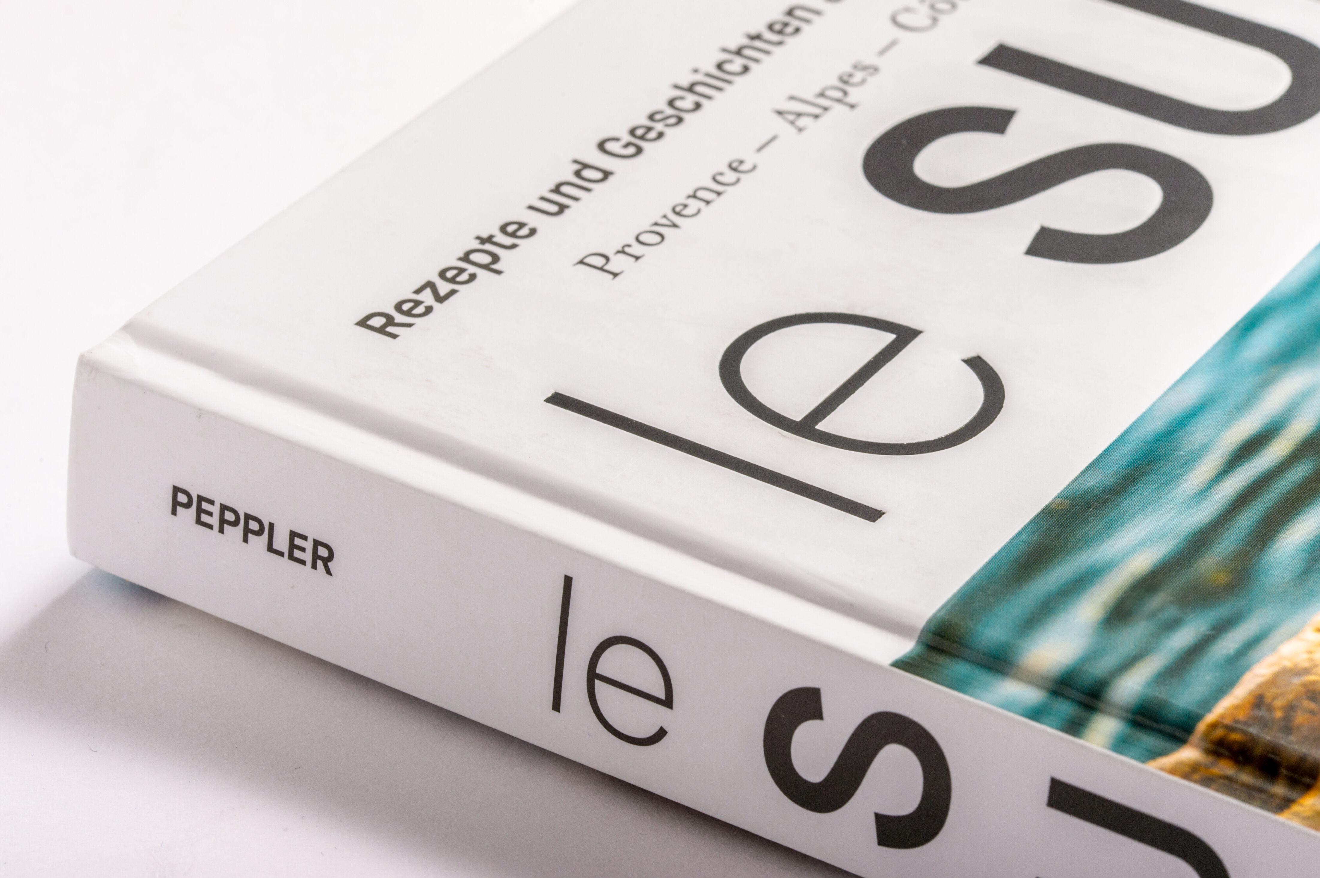 Beispielinhalt (Bild) Le Sud