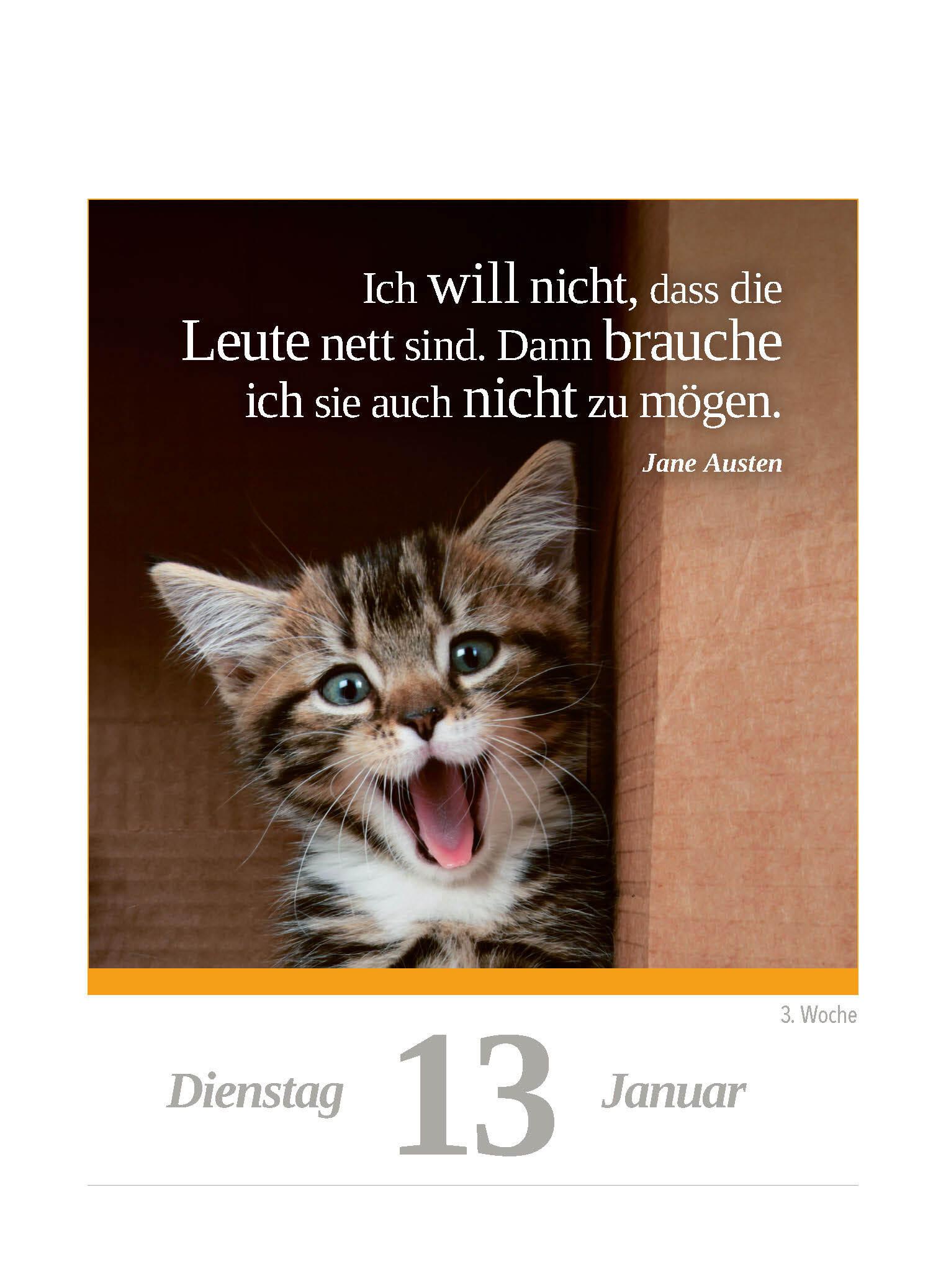 Beispielinhalt (Bild) Eine Katze für jeden Tag 2026 - Tagesabreißkalender zum Aufstellen oder Aufhängen