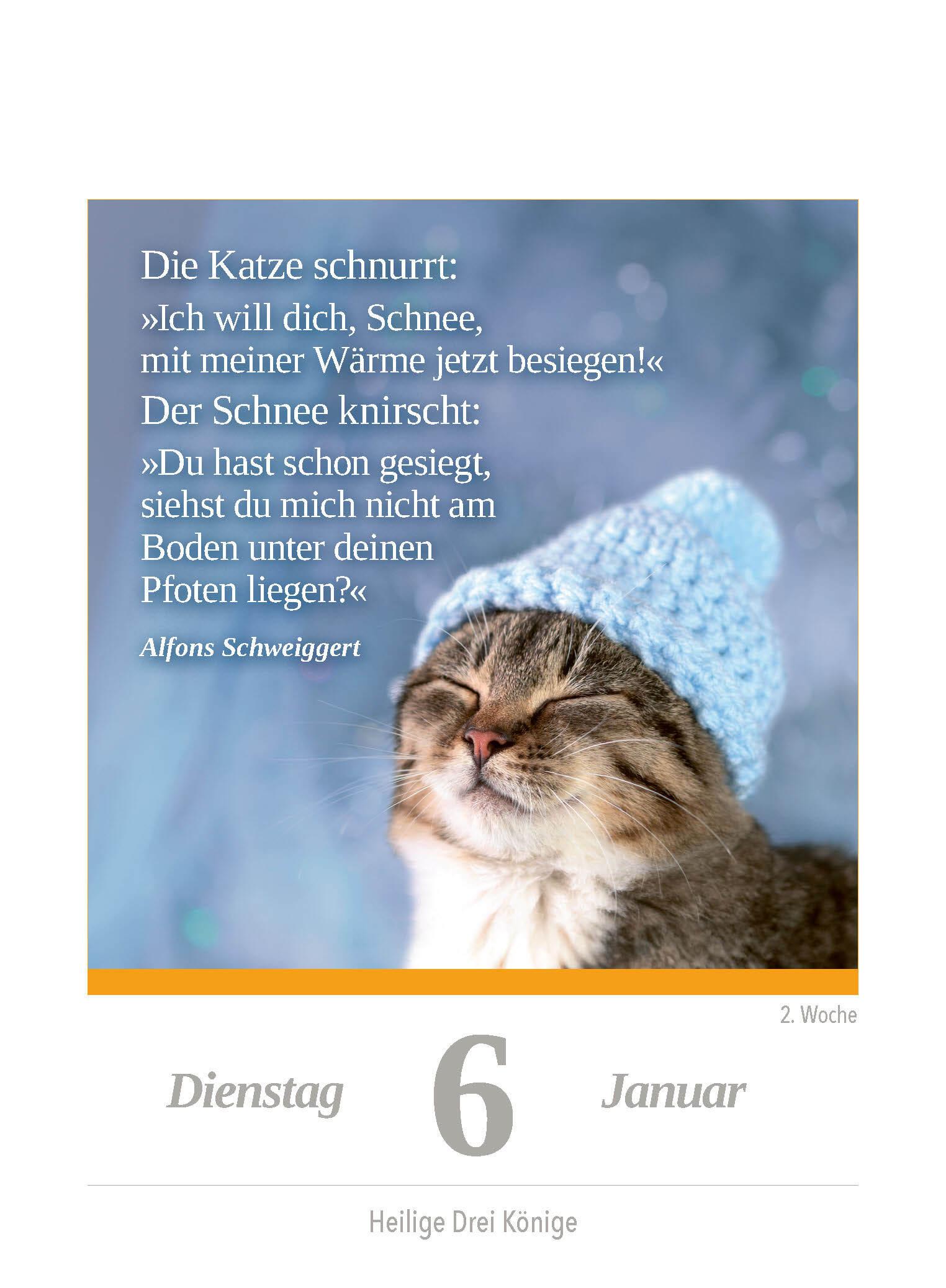 Beispielinhalt (Bild) Eine Katze für jeden Tag 2026 - Tagesabreißkalender zum Aufstellen oder Aufhängen