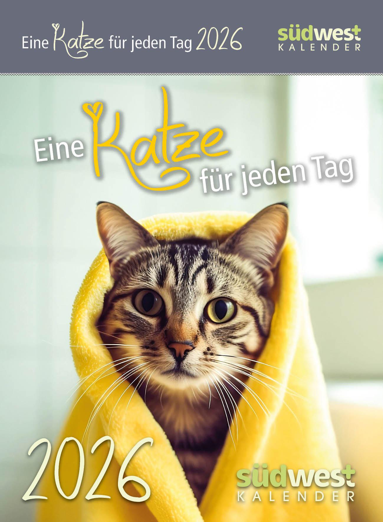 Vorderes Coverbild Eine Katze für jeden Tag 2026 - Tagesabreißkalender zum Aufstellen oder Aufhängen