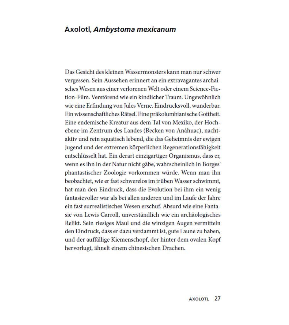Beispielinhalt (Bild) Die ewige Jugend des Axolotls