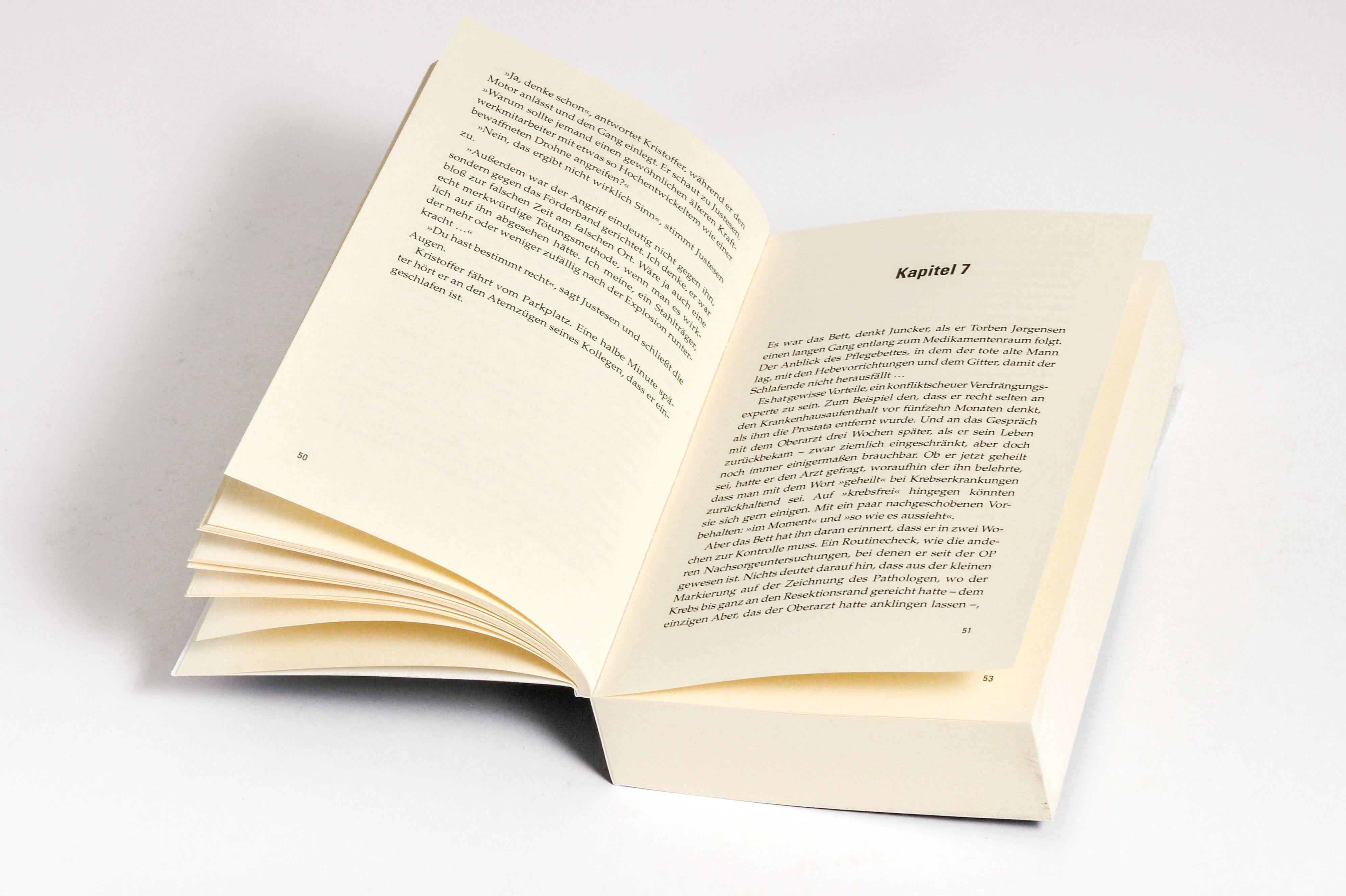 Beispielinhalt (Bild) Mörderland