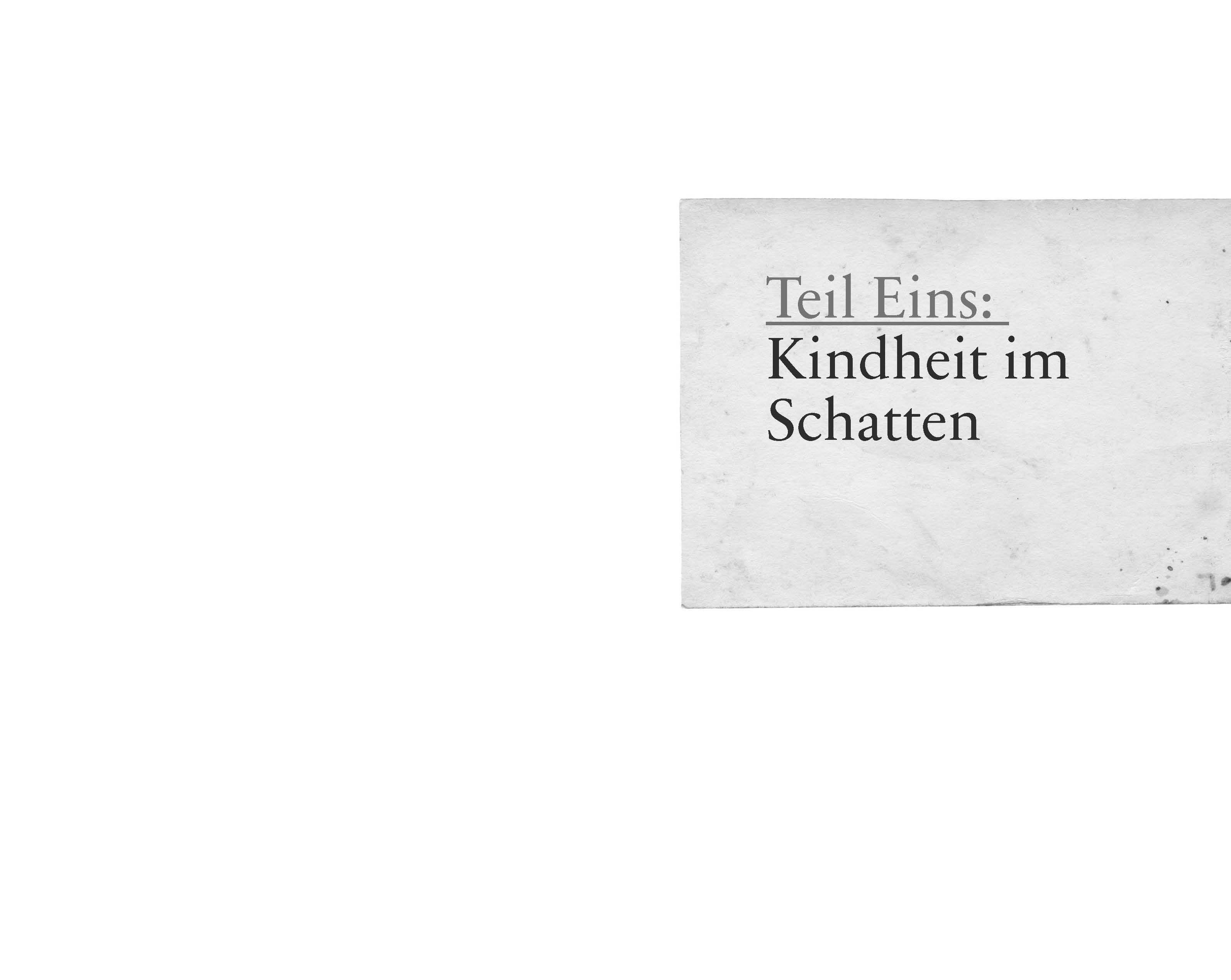 Beispielinhalt (Bild) Schattenschicksale