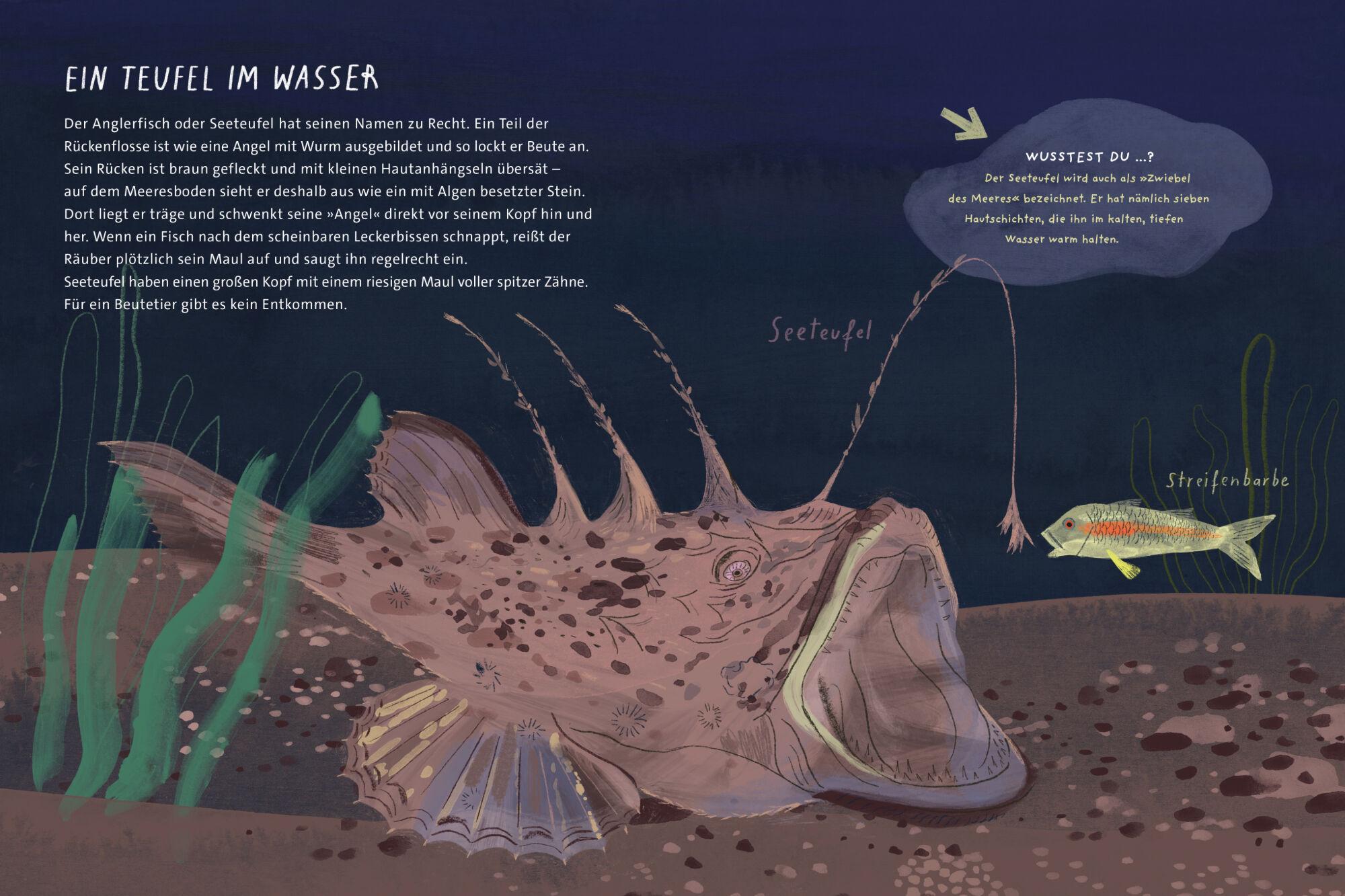 Beispielinhalt (Bild) Tricksen, Täuschen, Tarnen