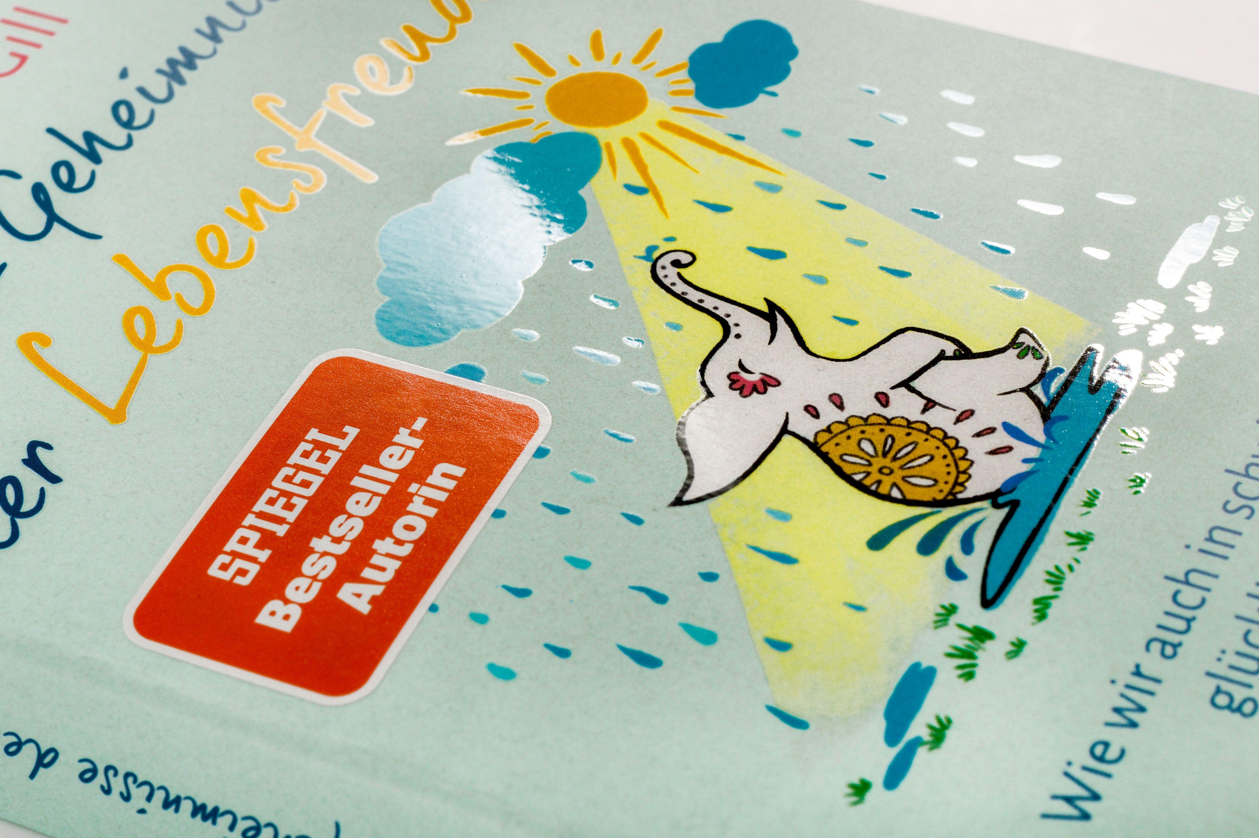 Beispielinhalt (Bild) Die 12 Geheimnisse der Lebensfreude