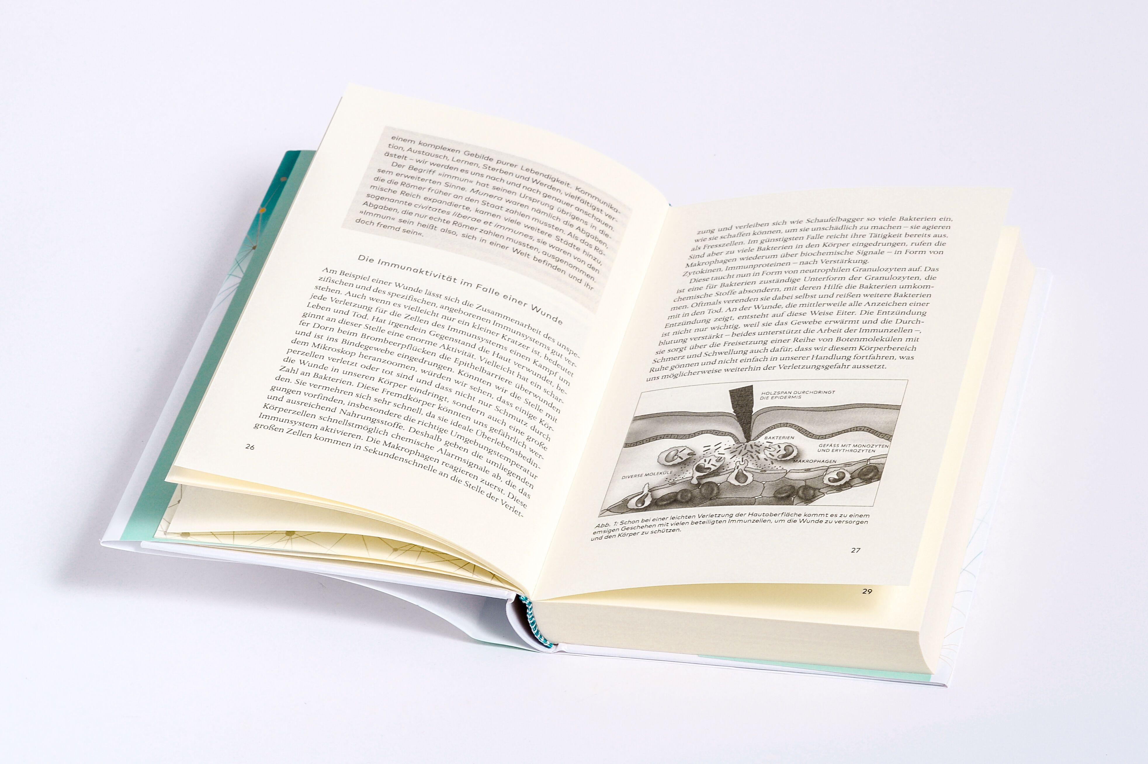 Beispielinhalt (Bild) Immunsystem neu gedacht