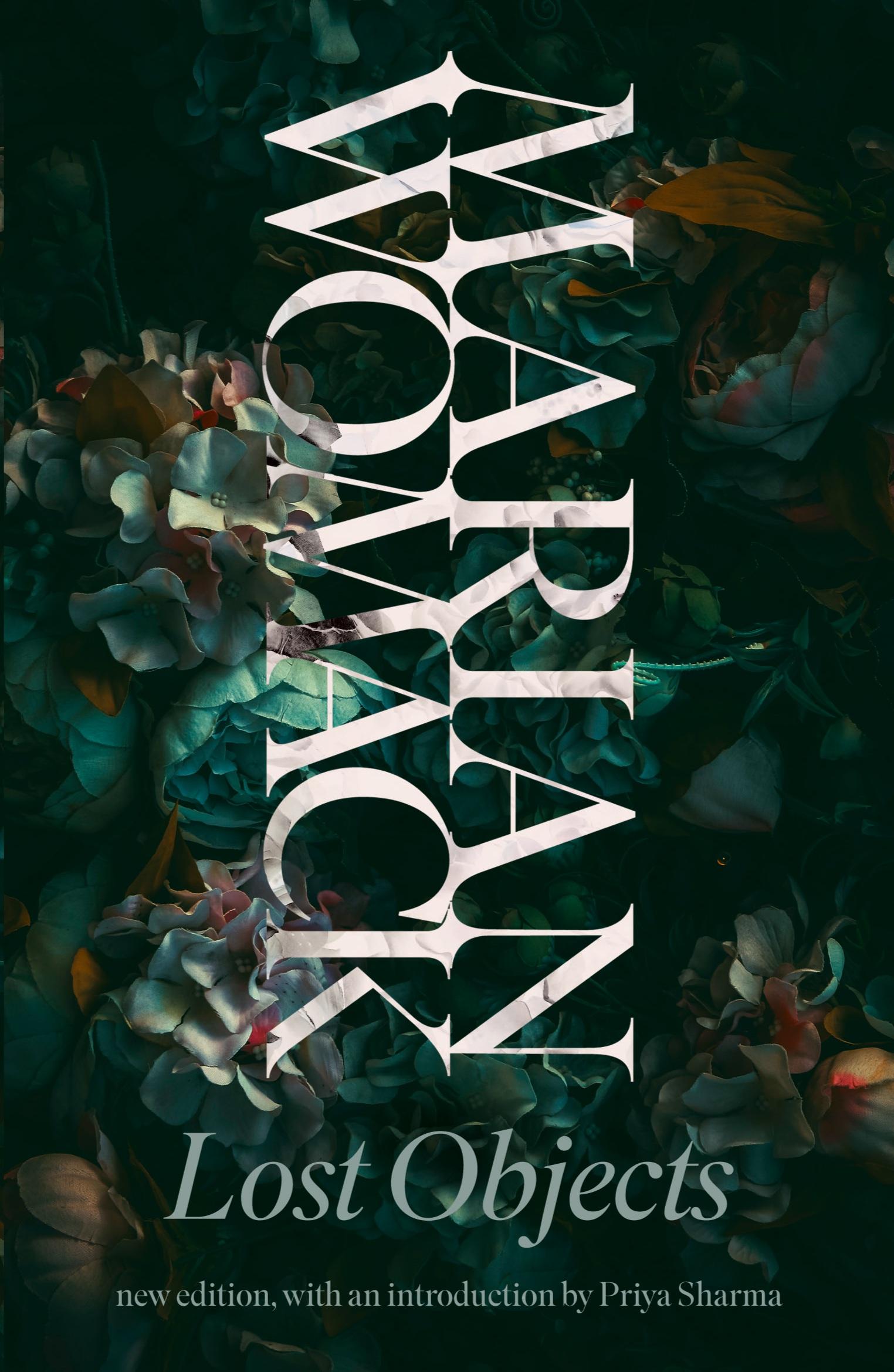 Vorderes Coverbild Lost Objects