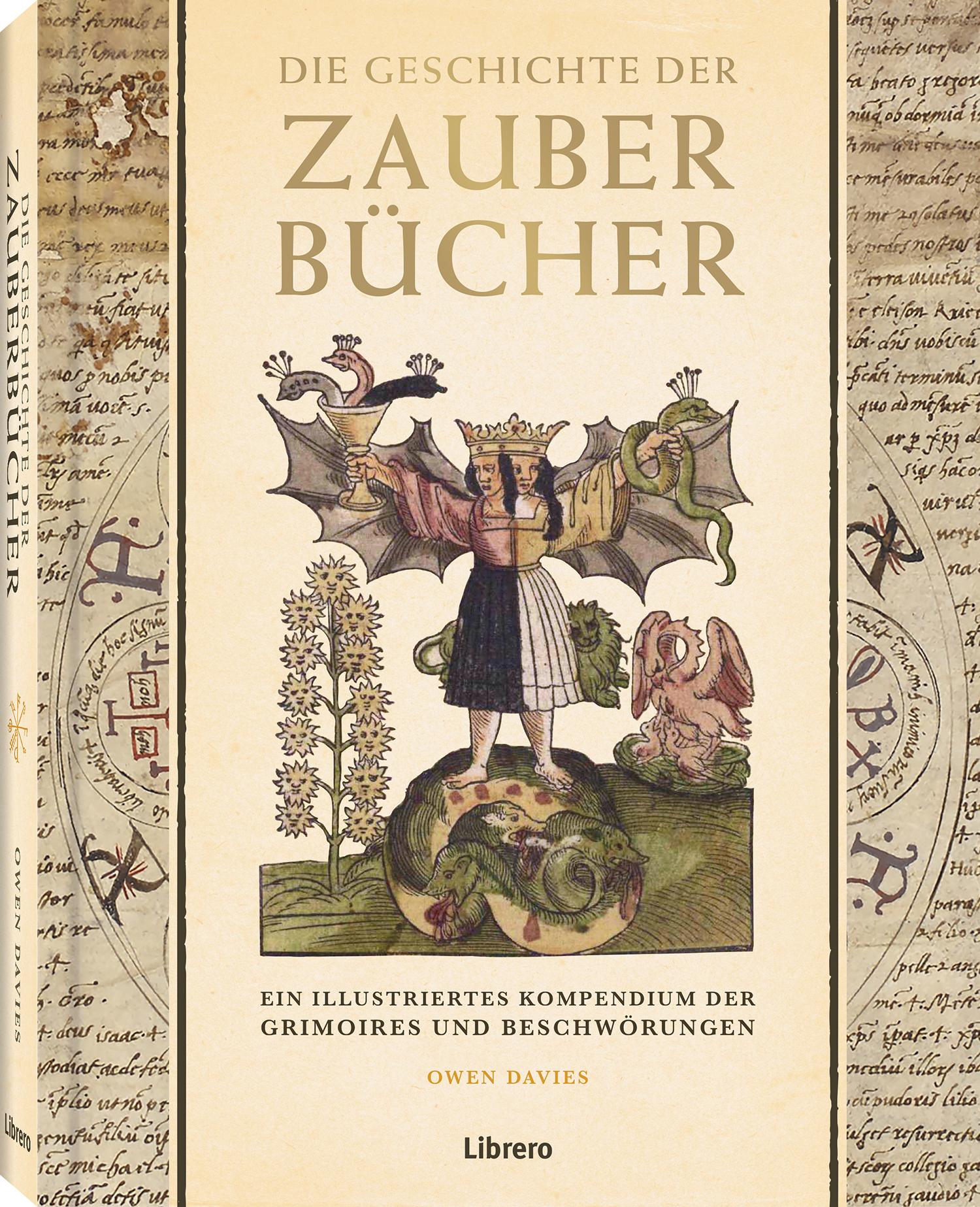 Vorderes Coverbild Die Geschichte der Zauberbücher