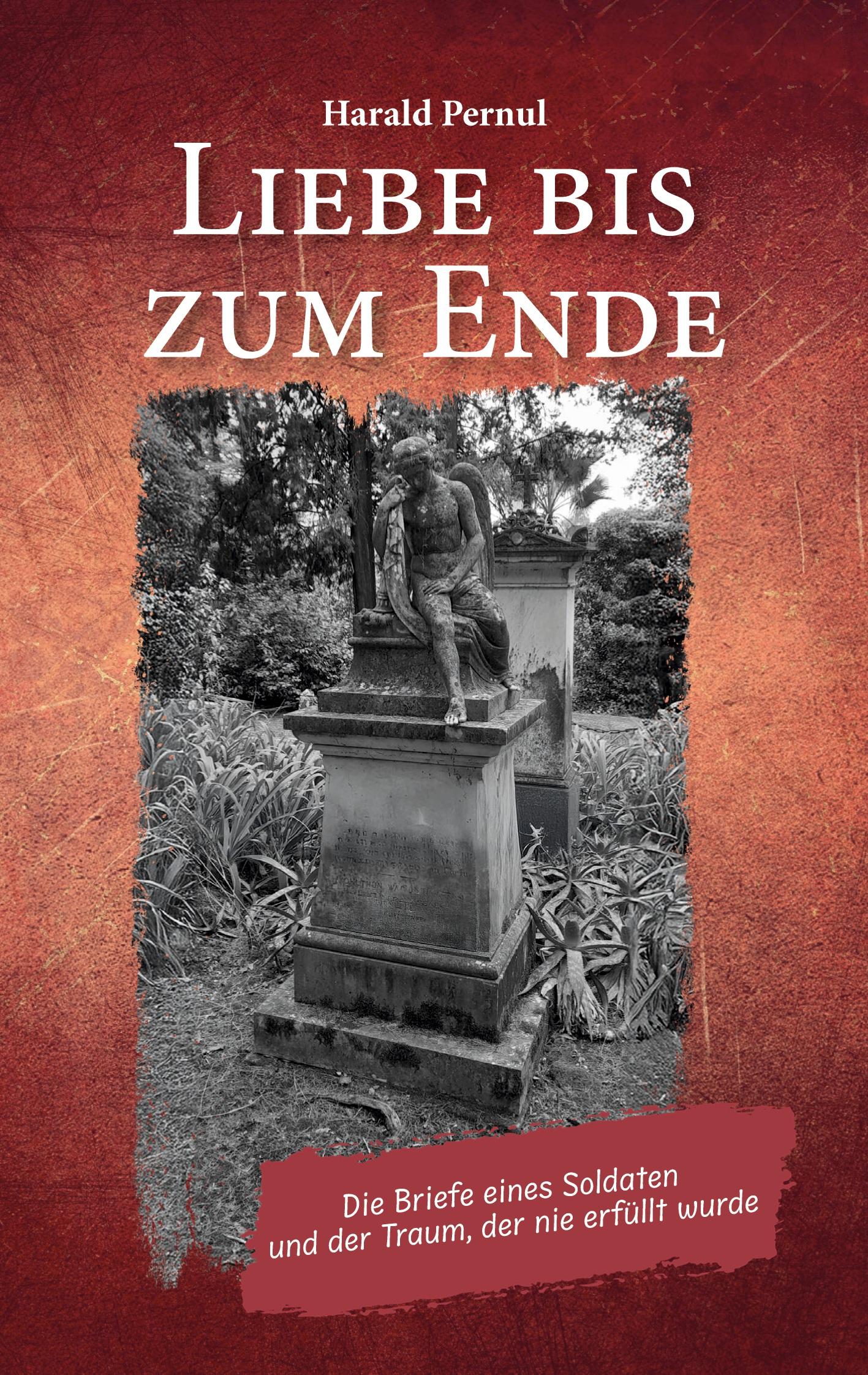 Vorderes Coverbild Liebe bis zum Ende