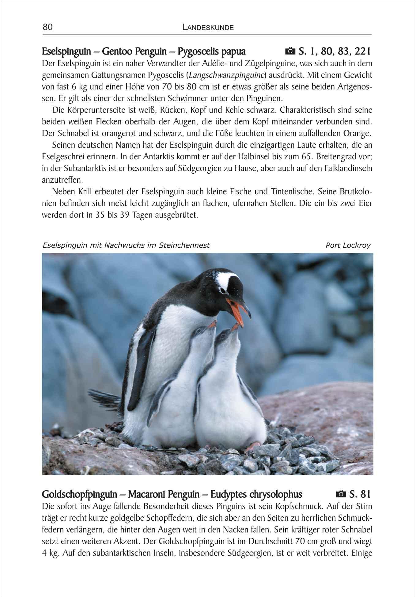Beispielinhalt (Bild) Antarktis - Ein Reise-, Lese- und Informationsbuch über den Kontinent am Südpol