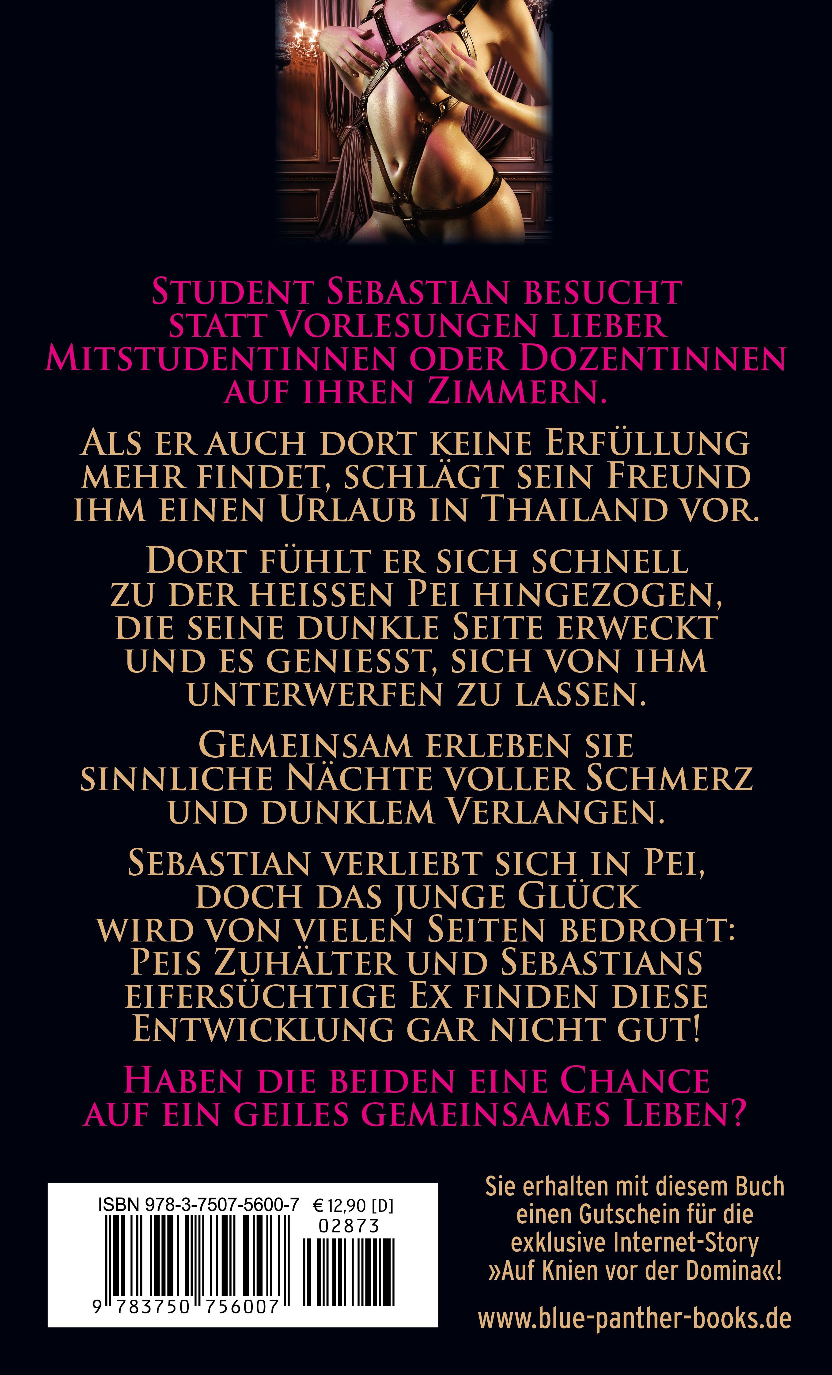 Rückseitencover Unter meiner Peitsche - Du verdienst Deine Strafe | Erotischer SM-Roman