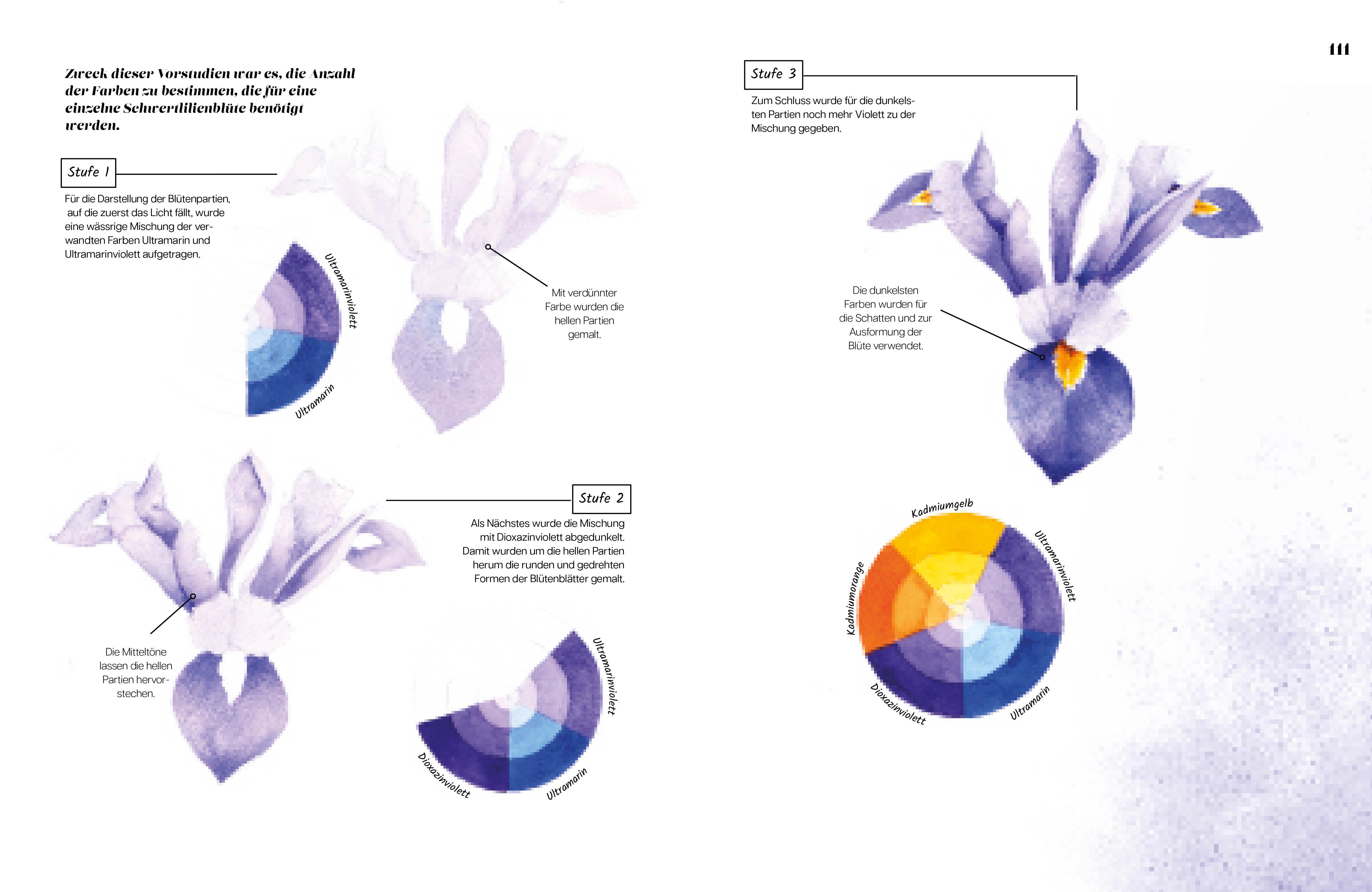 Beispielinhalt (Bild) Die Anatomie der Farben