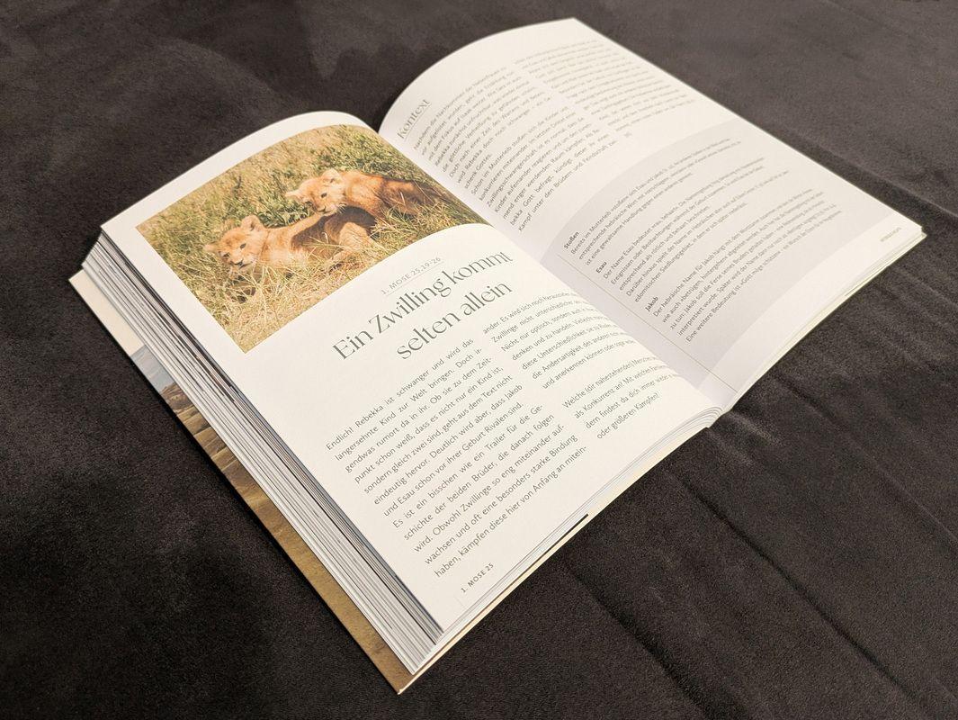 Beispielinhalt (Bild) Das Bibellesebuch zu 1. Mose