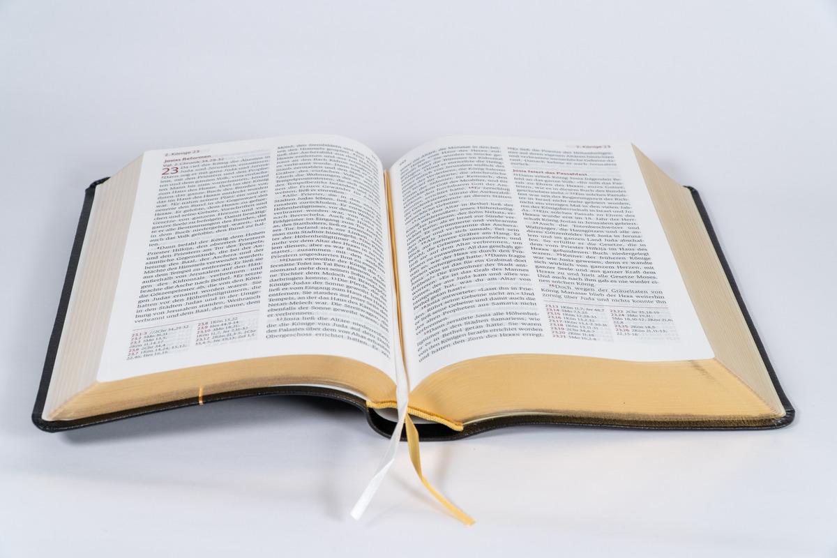 Beispielinhalt (Bild) Neues Leben. Die Bibel, Standardausgabe, Leder mit Goldschnitt