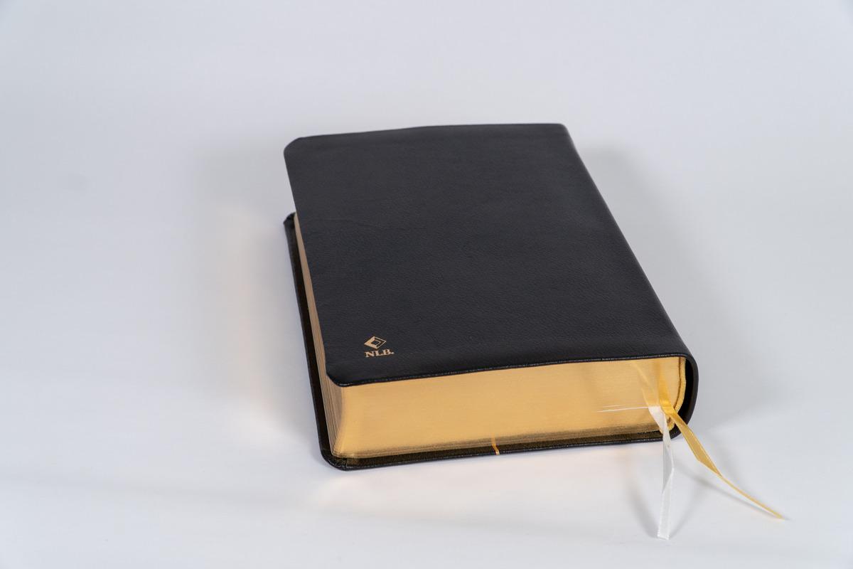 Beispielinhalt (Bild) Neues Leben. Die Bibel, Standardausgabe, Leder mit Goldschnitt