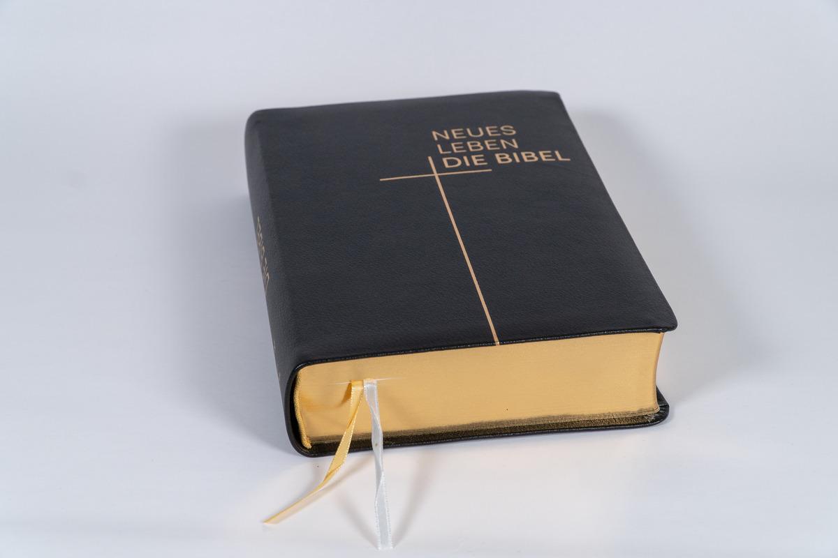 Beispielinhalt (Bild) Neues Leben. Die Bibel, Standardausgabe, Leder mit Goldschnitt