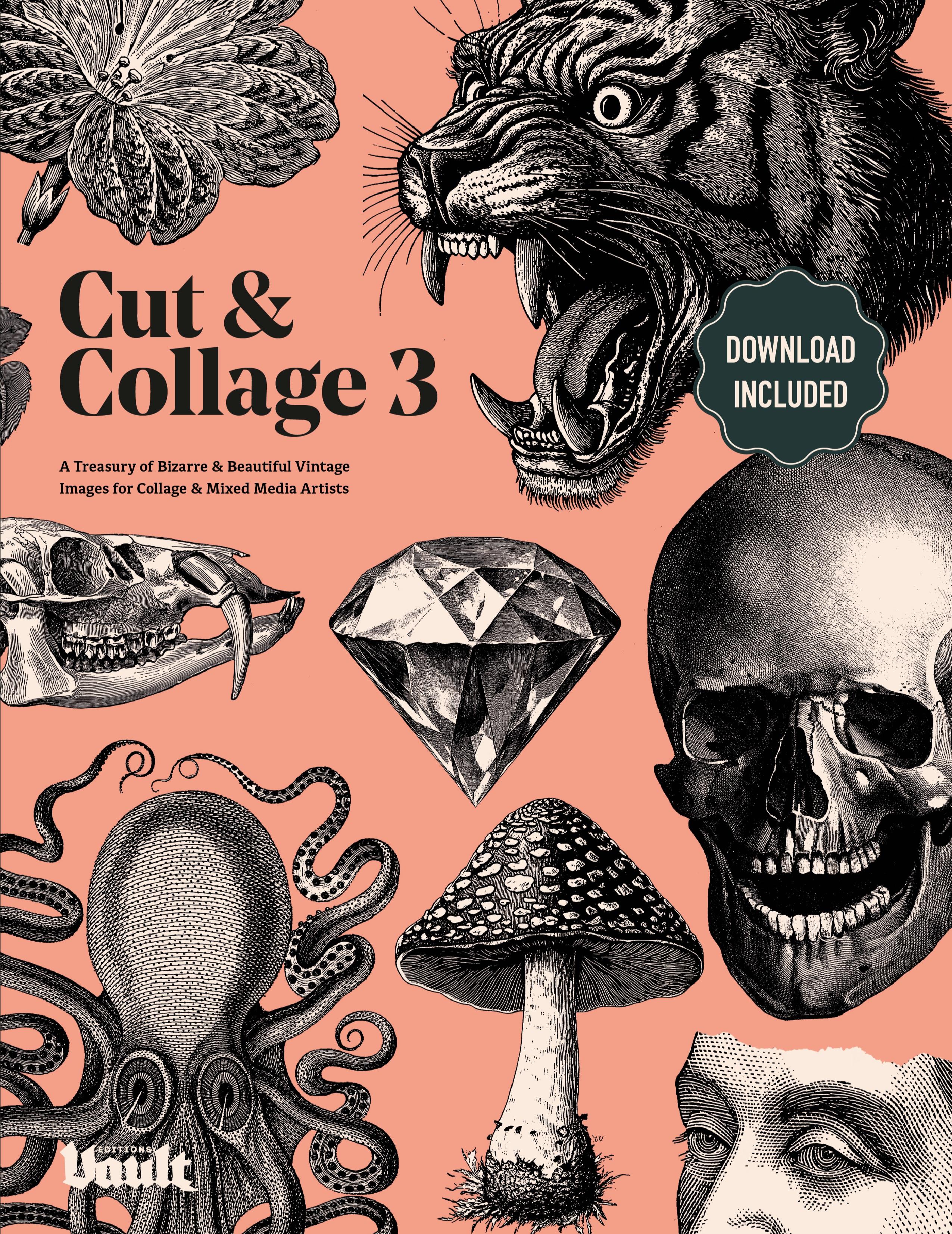 Vorderes Coverbild Cut & Collage 3