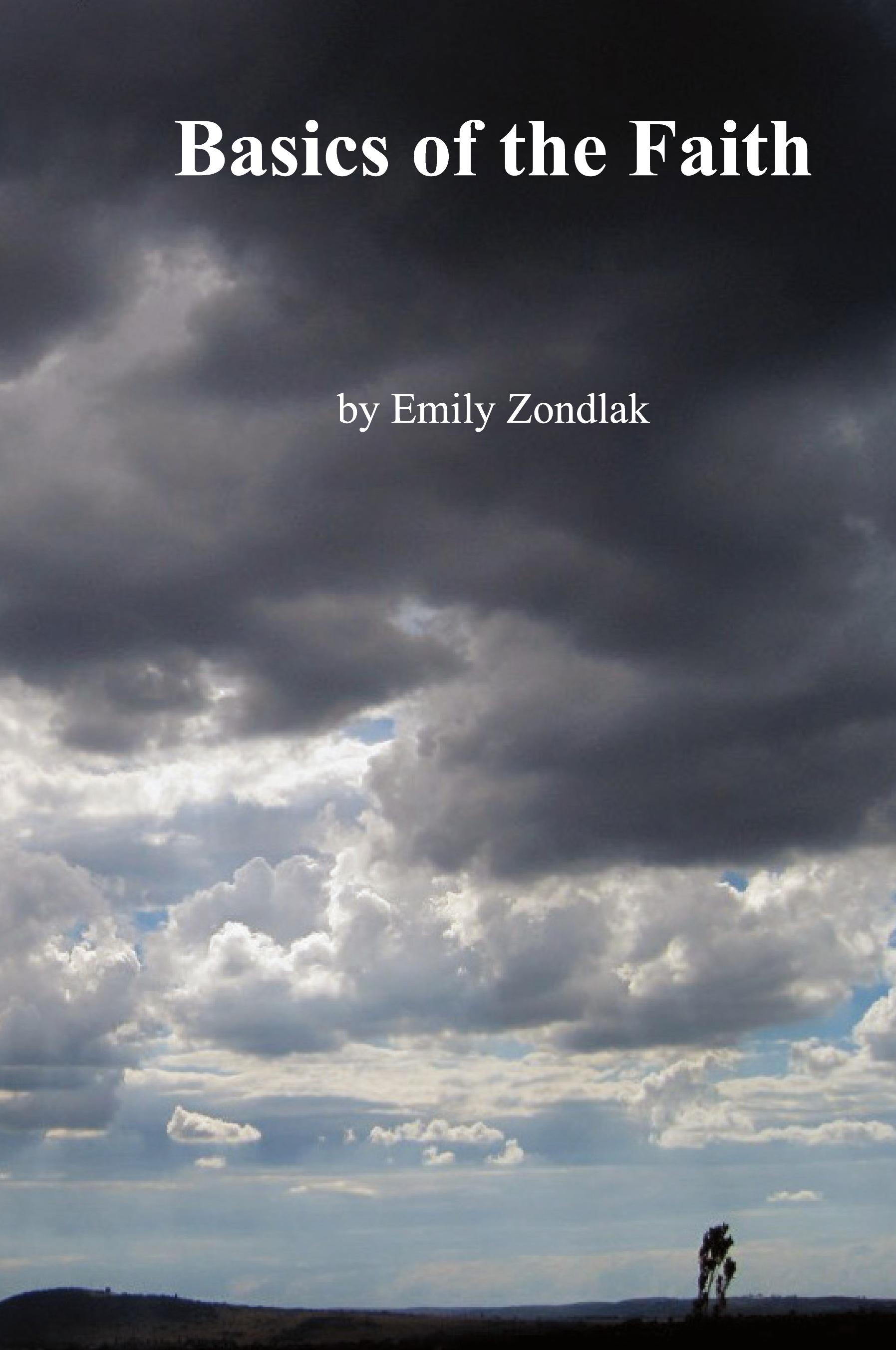 Vorderes Coverbild The Basics of the Faith