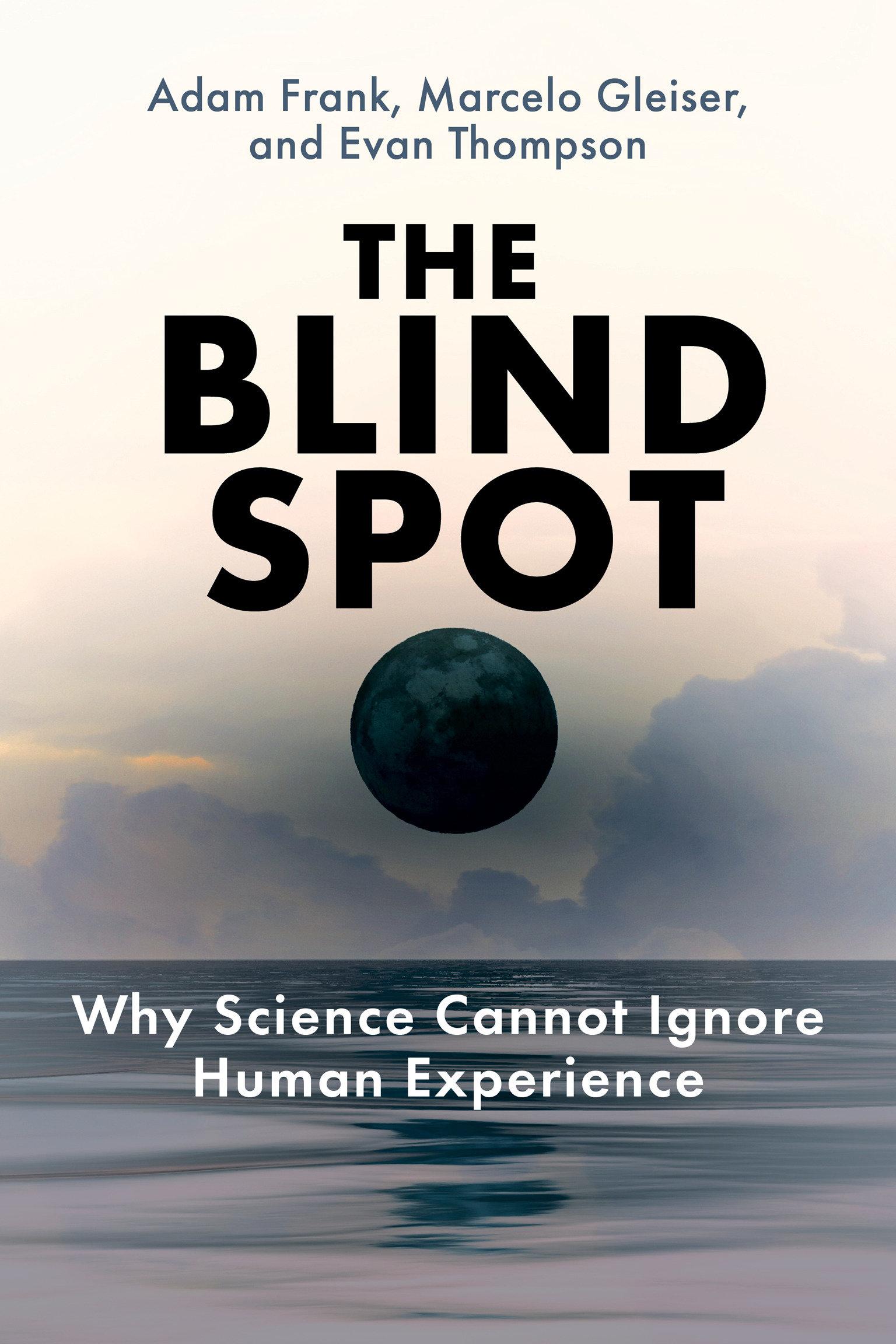 Vorderes Coverbild The Blind Spot
