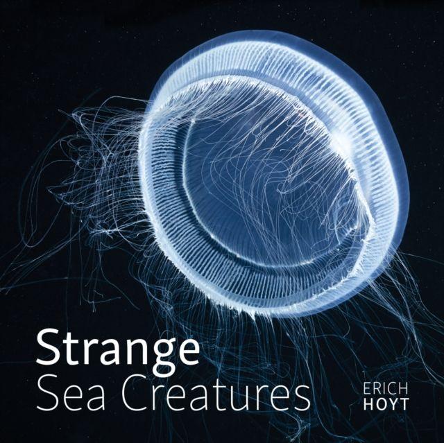 Vorderes Coverbild Strange Sea Creatures