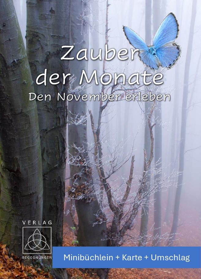 Vorderes Coverbild Zauber der Monate
