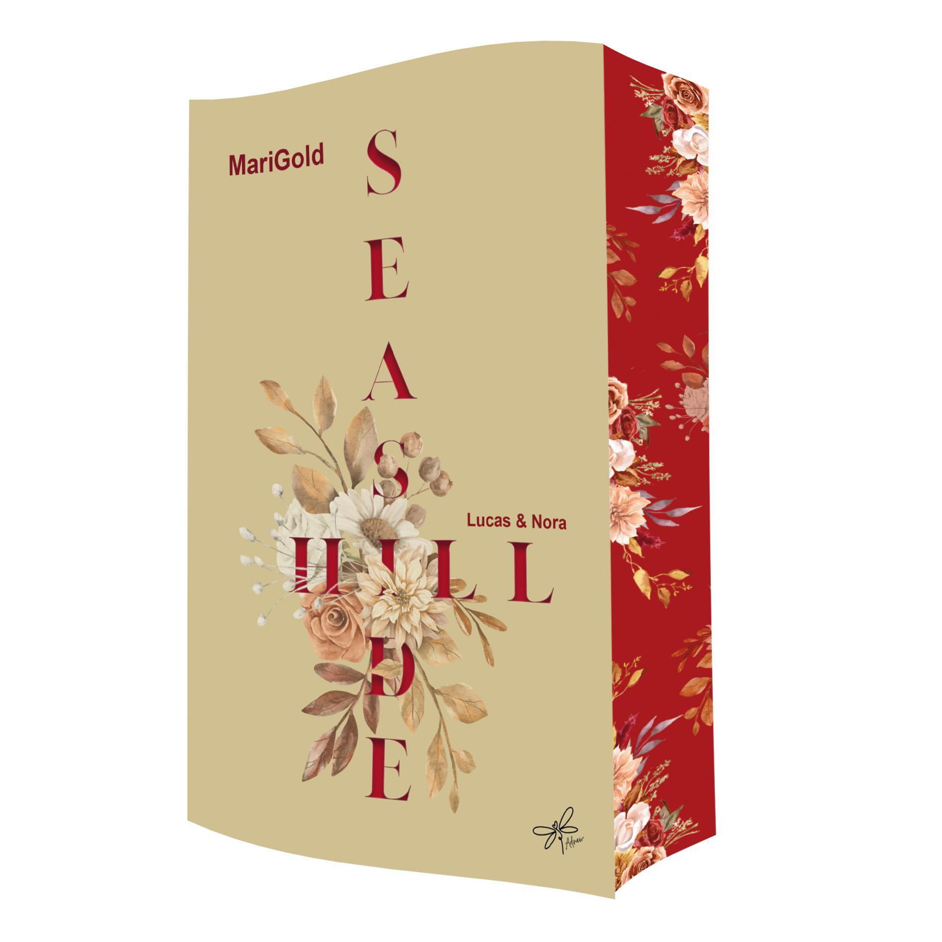 Vorderes Coverbild Seaside Hill (Teil3)