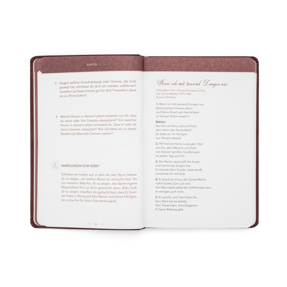 Beispielinhalt (Bild) Keiner ist wie Er